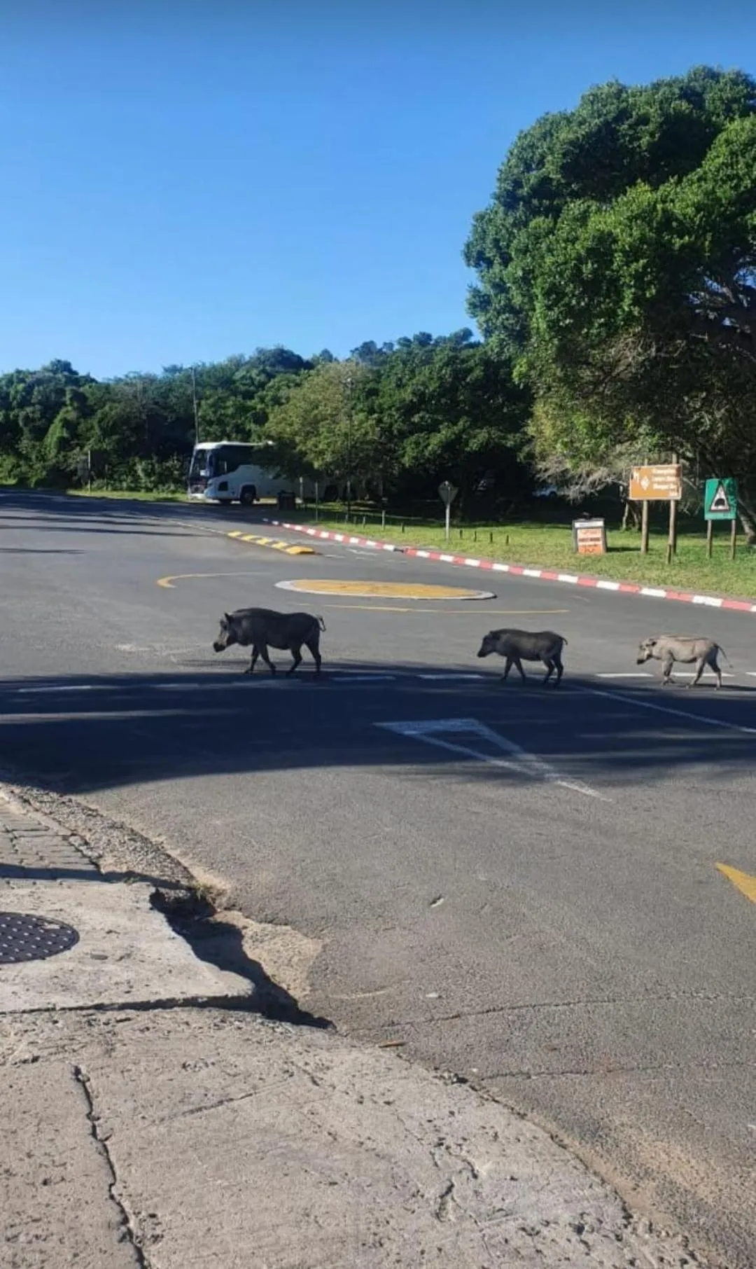 Le Caille, St Lucia Two bedroom unit