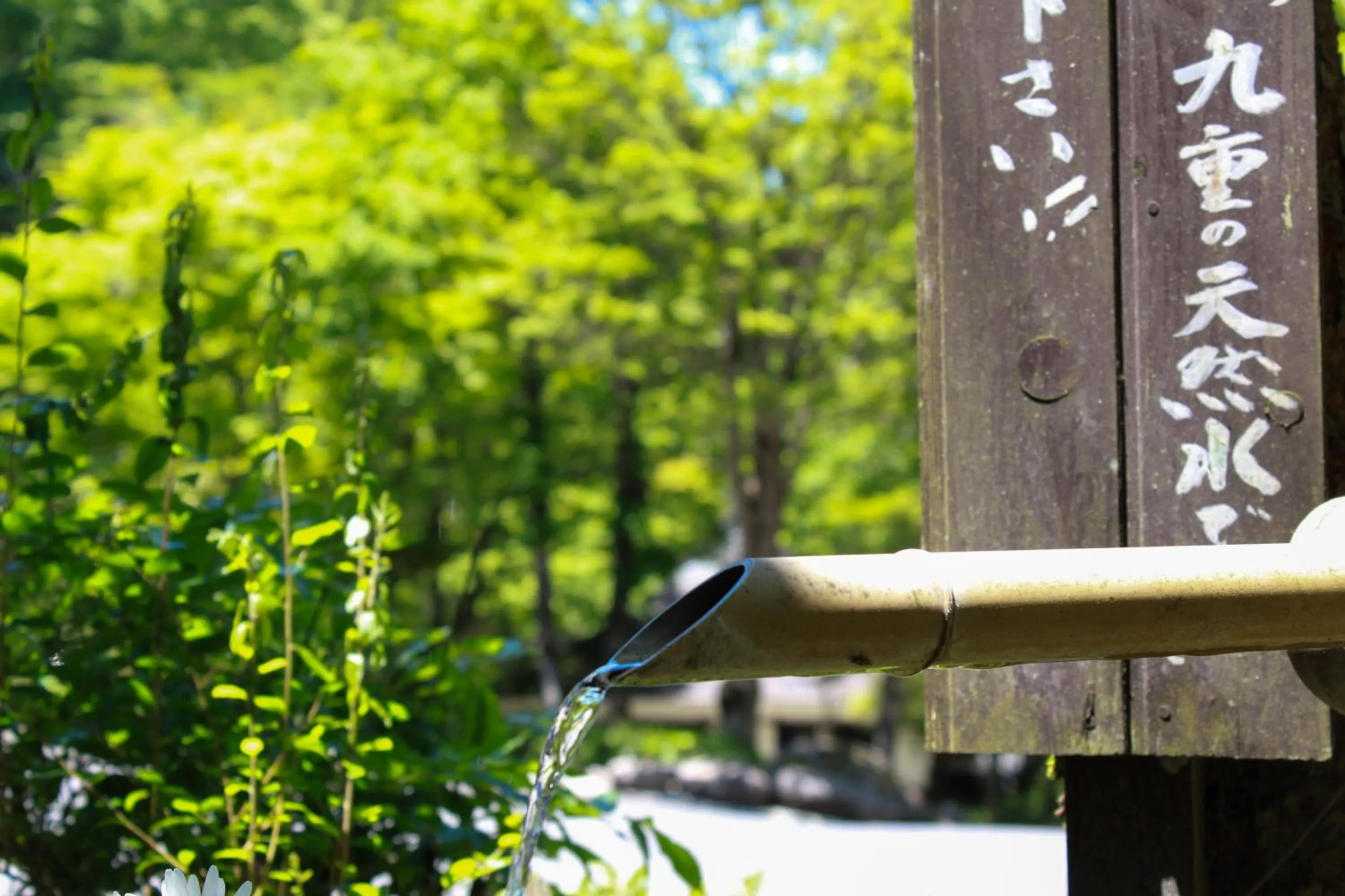 Area and facilities in Hosenji Kanko Hotel Yumotoya