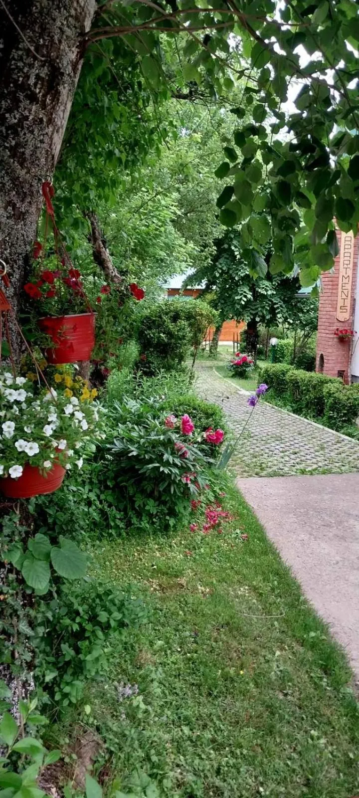 Apartment Dulovine