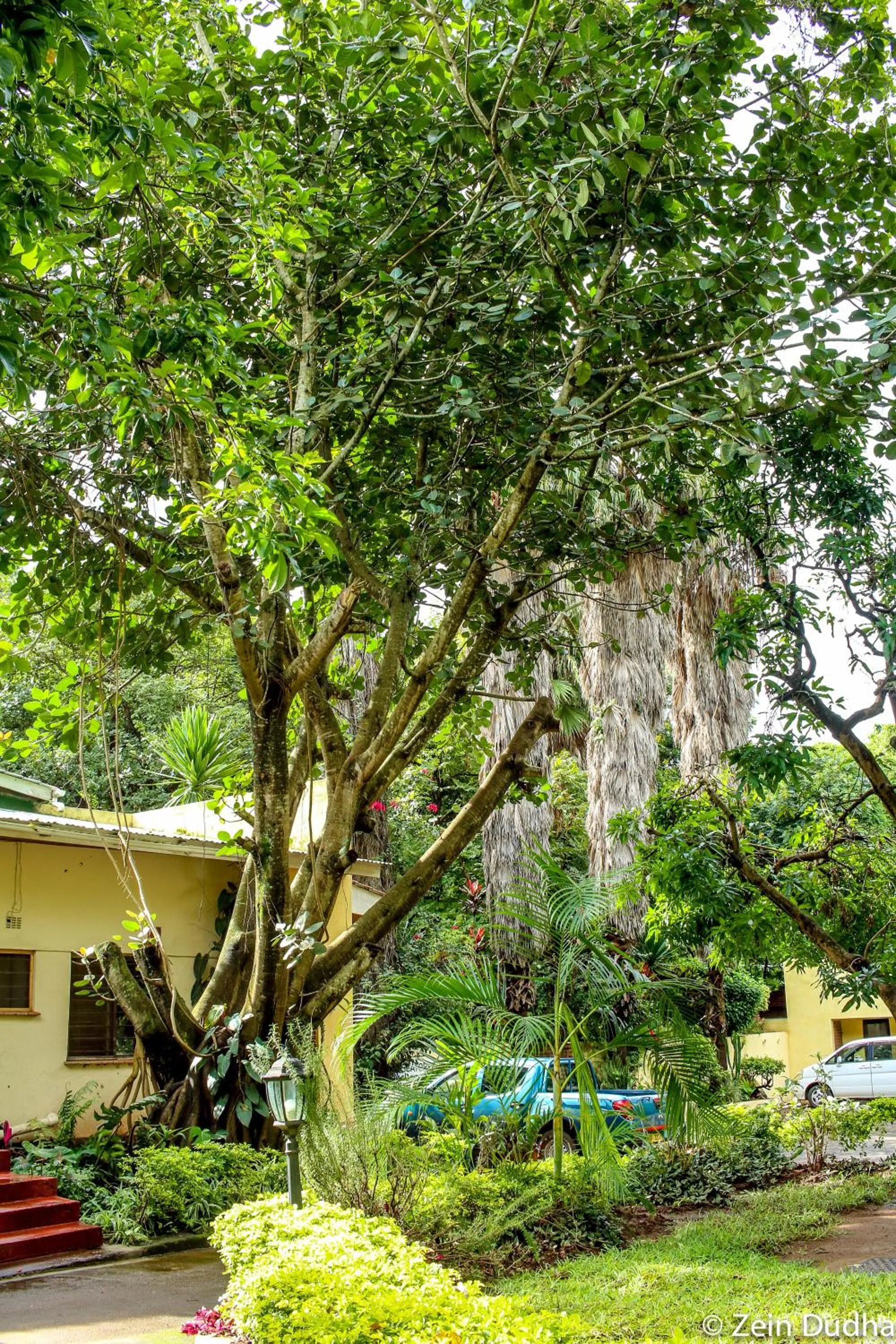 Property building in Villa 33