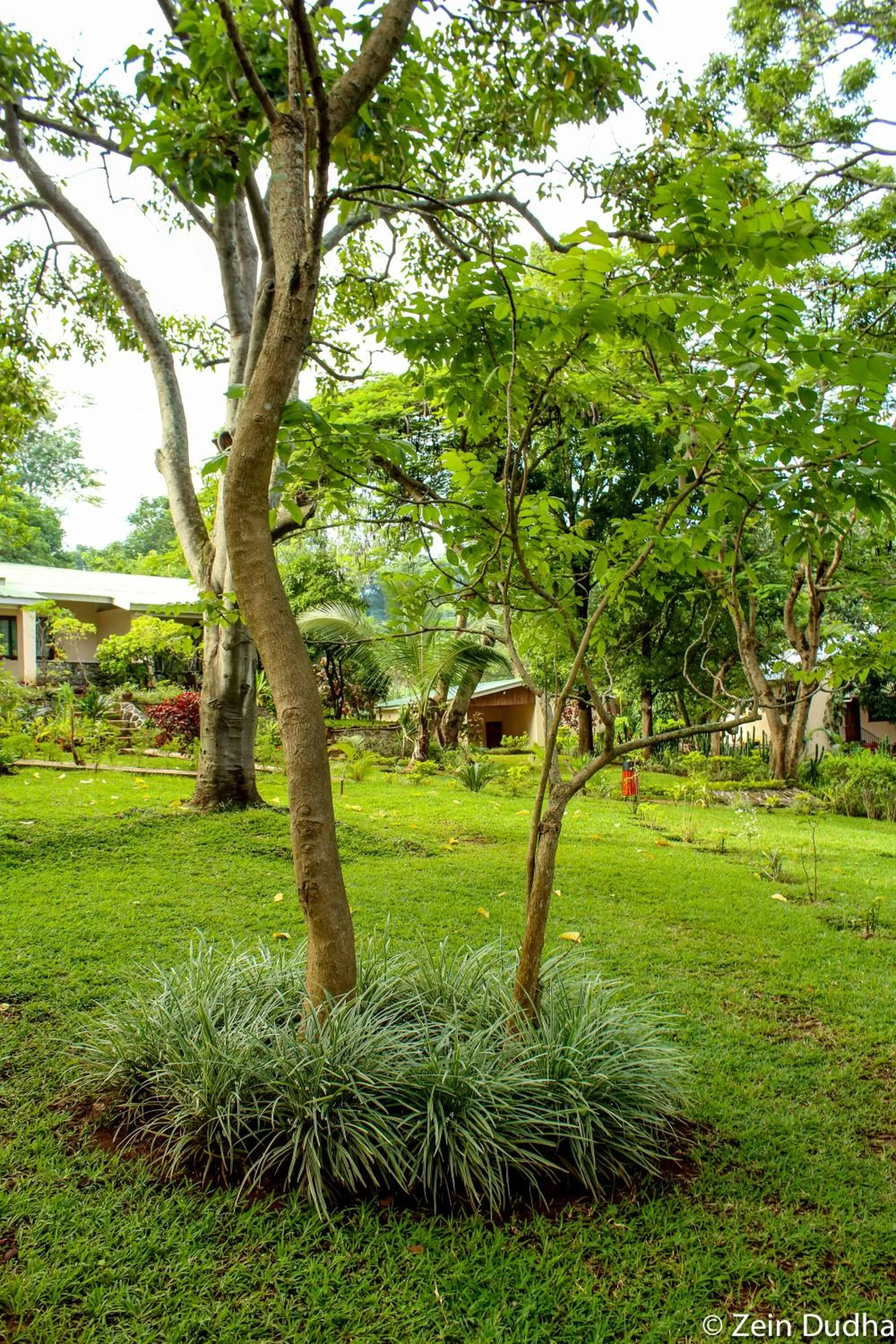 Property building in Villa 33