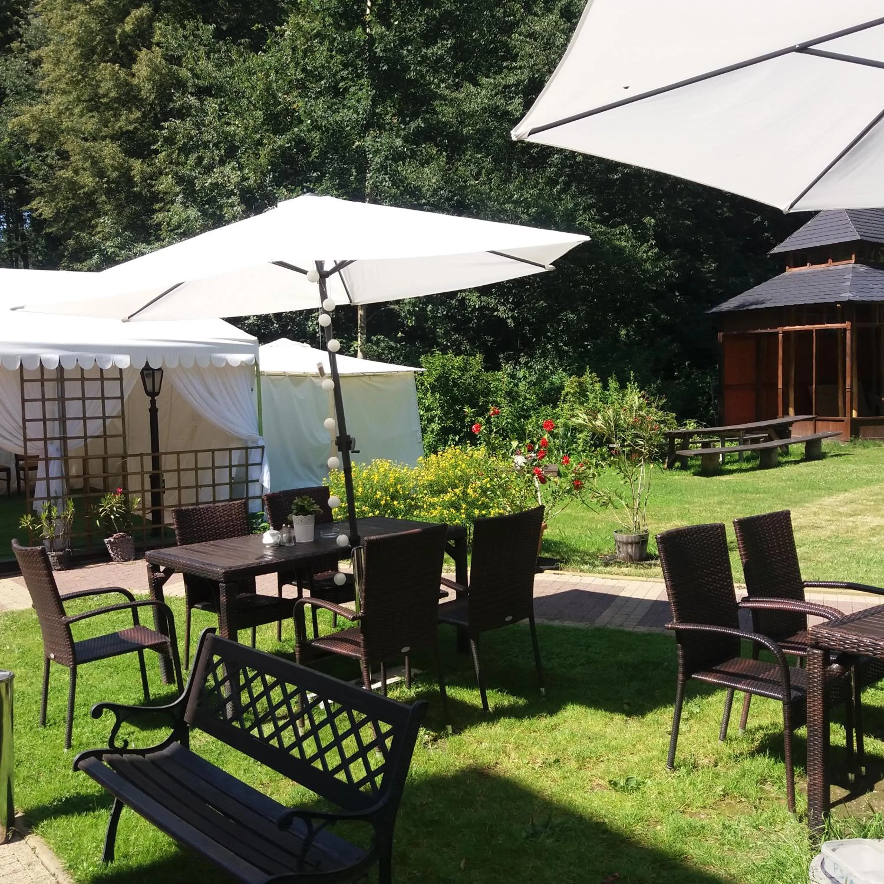 Garden in Pałac Bażantarnia