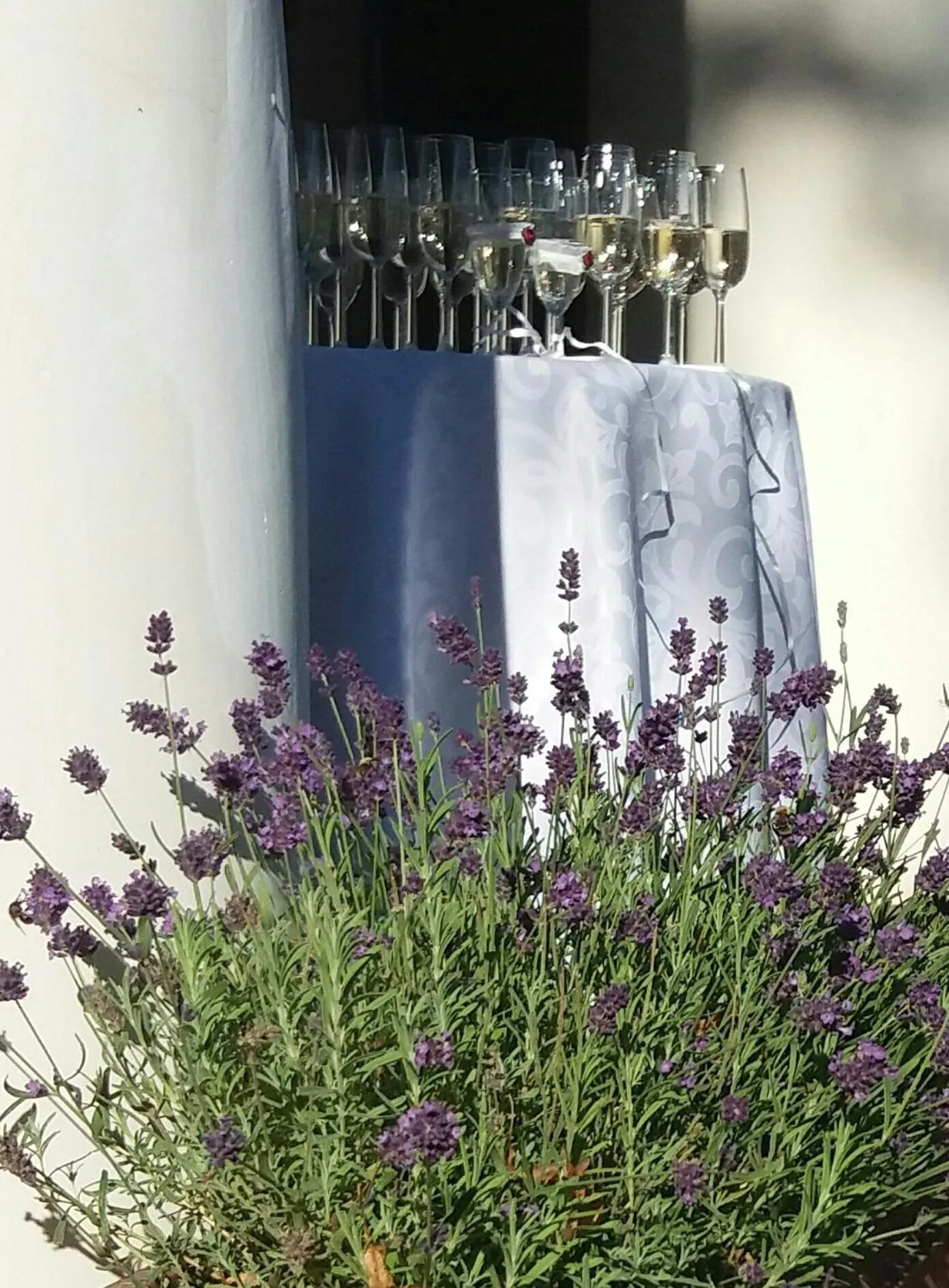 Facade/entrance in Pałac Bażantarnia