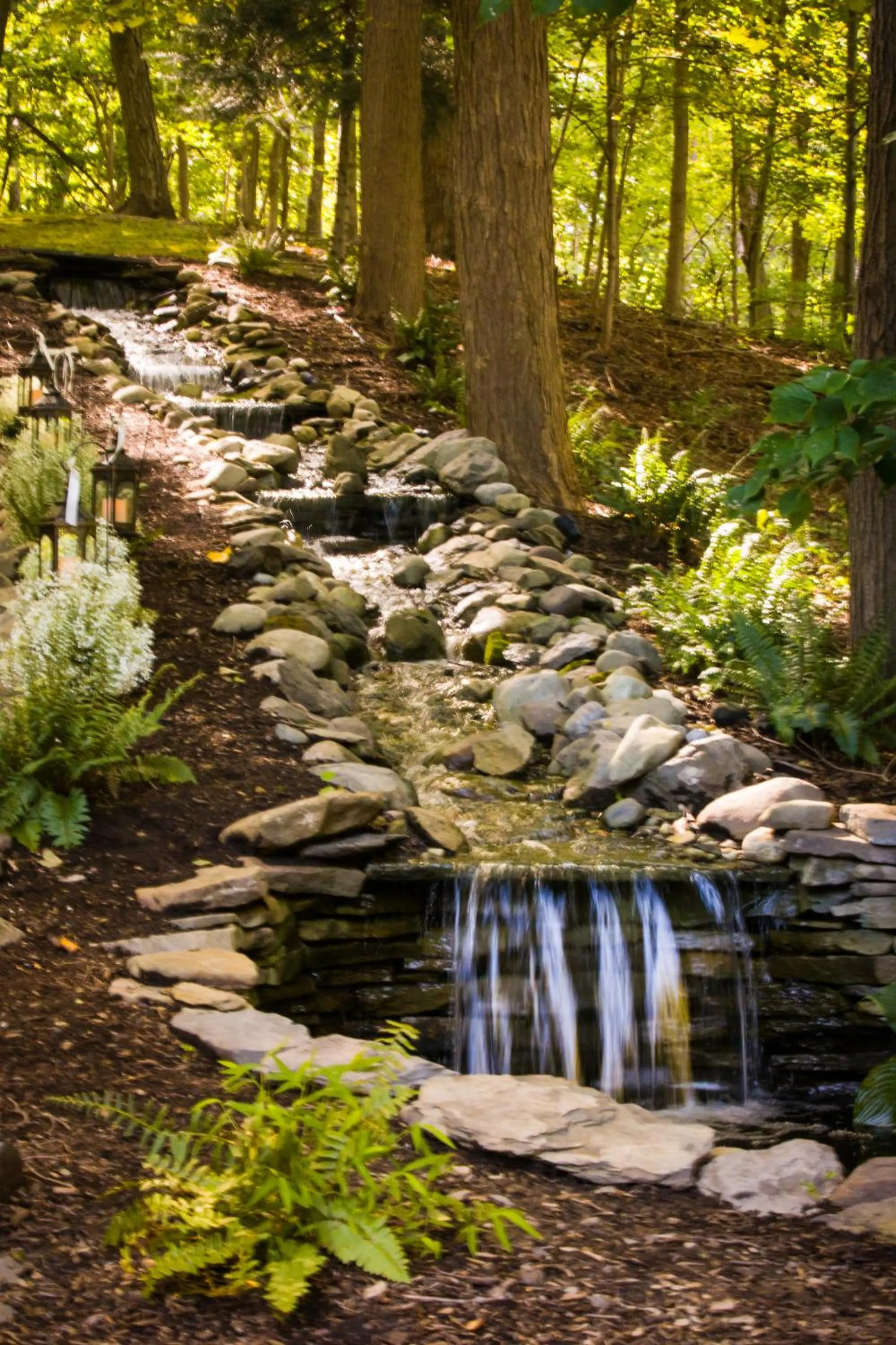 Area and facilities in Stroudsmoor Country Inn