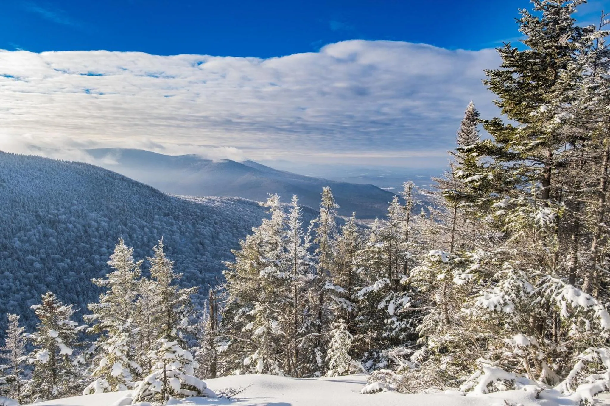 Area and facilities in Hotel Indigo North Conway by IHG