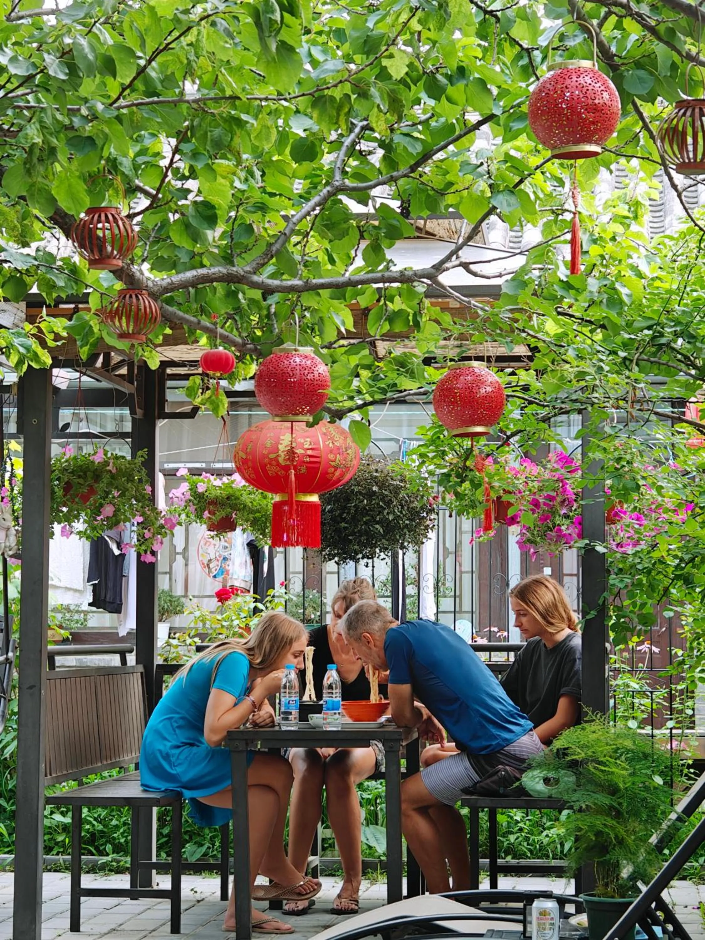 Garden view in Beijing Badaling Great Wall Caos Courtyard Hostel 1VIP service 2Ancient style Chinese yard 3 only 15 minutes walk to the Badaling Great Wall 4 be your free advisor 5 offer private guided tour 6 experience local food and culutre