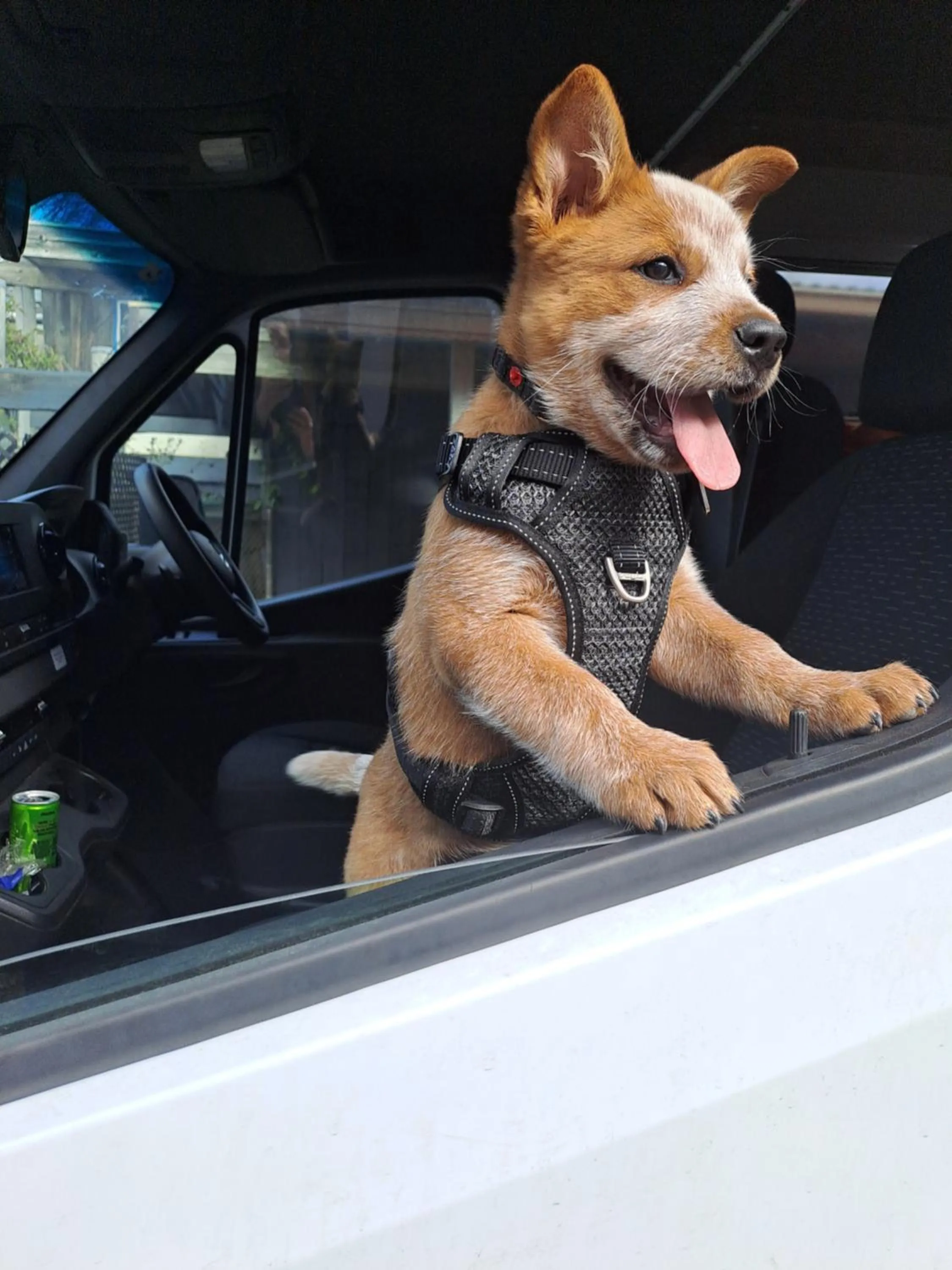 Ingenia Holidays Sydney Hills