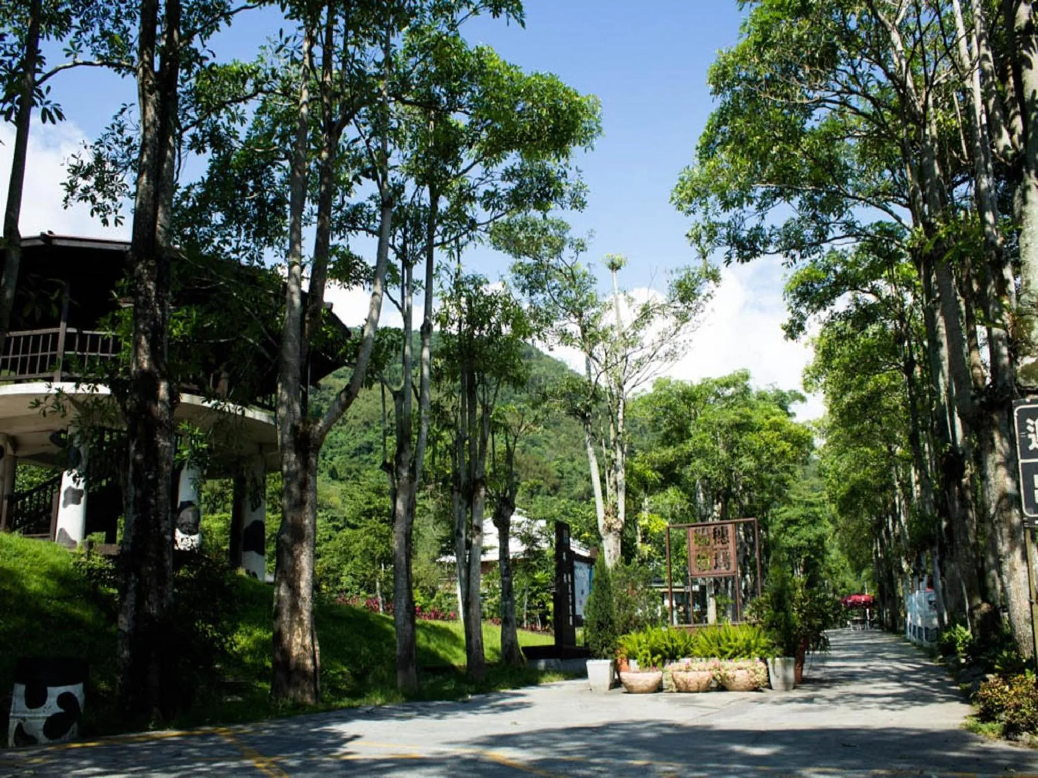 Nearby landmark in Lin Tea B&B