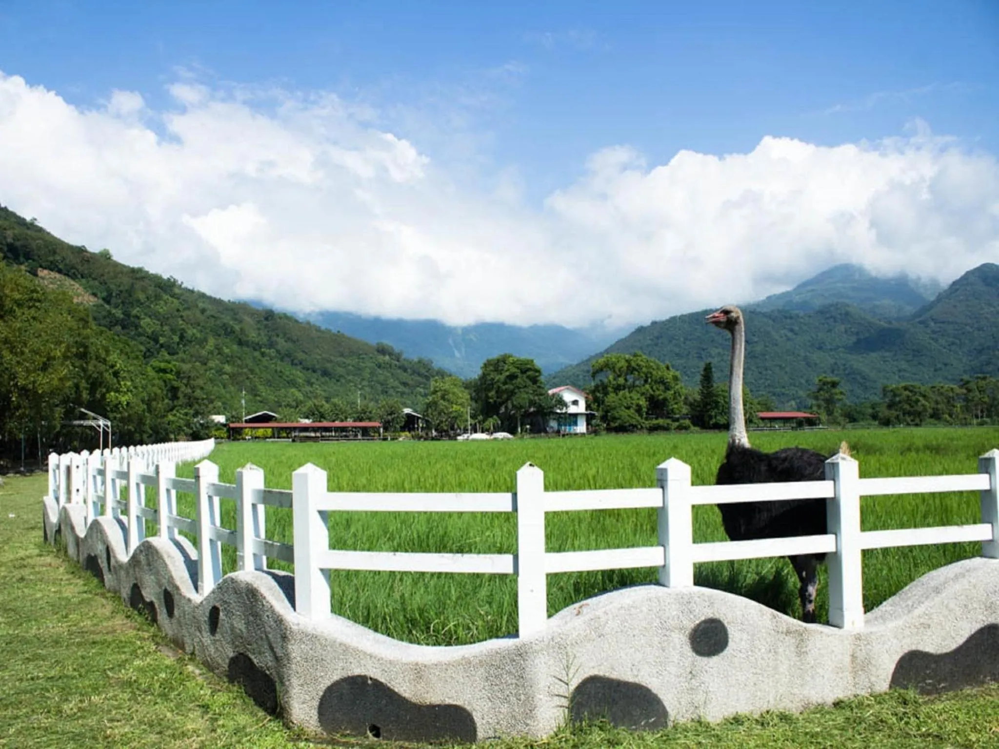 Nearby landmark in Lin Tea B&B