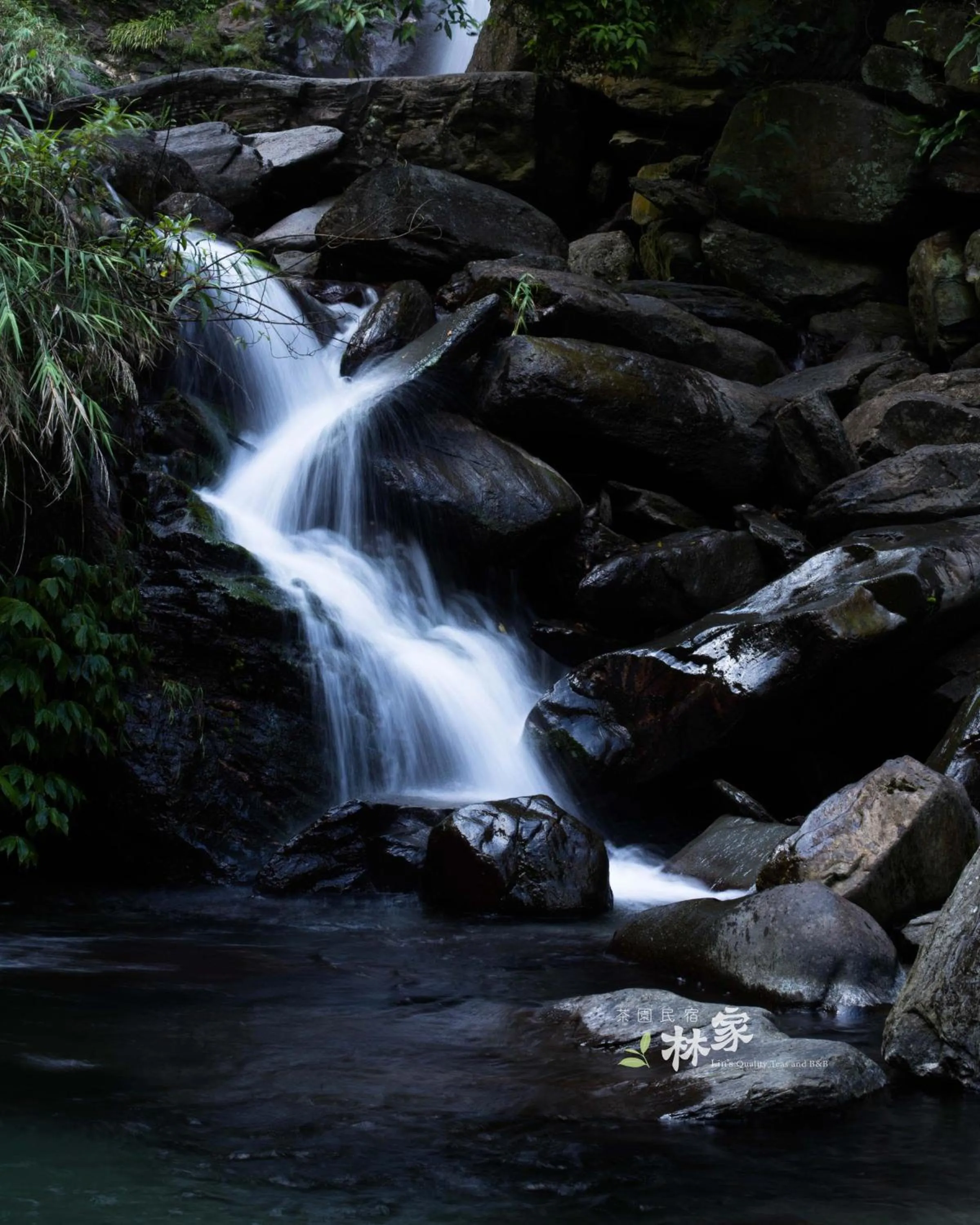 Natural landscape in Lin Tea B&B
