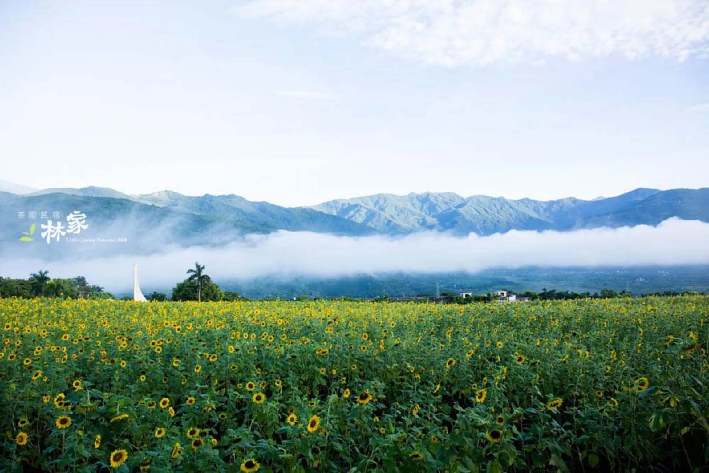 Neighbourhood in Lin Tea B&B