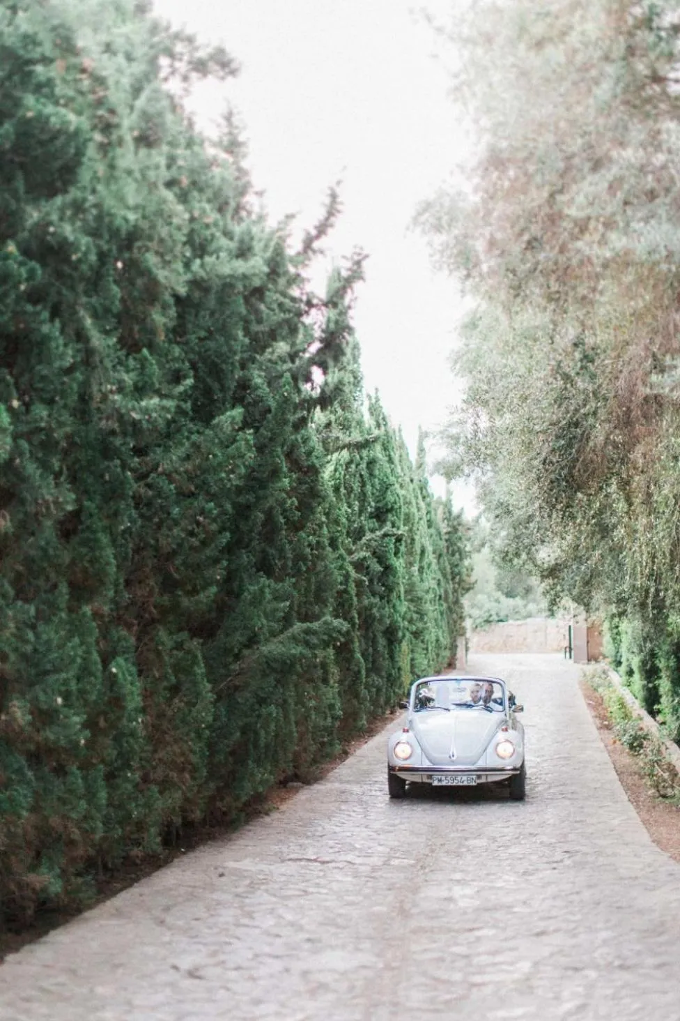 Garden in Casal Santa Eulalia