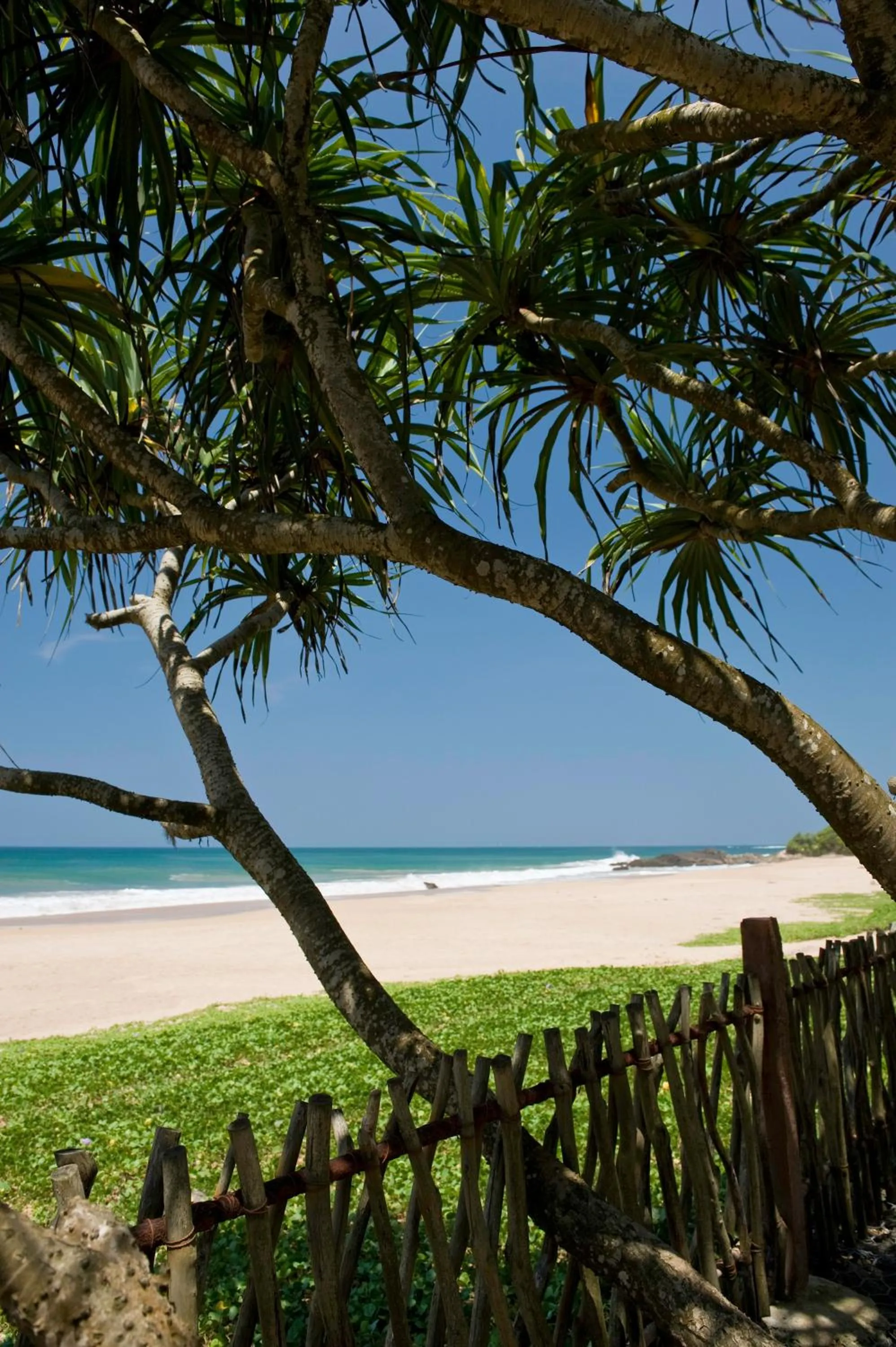 Sea view in Sri Villas