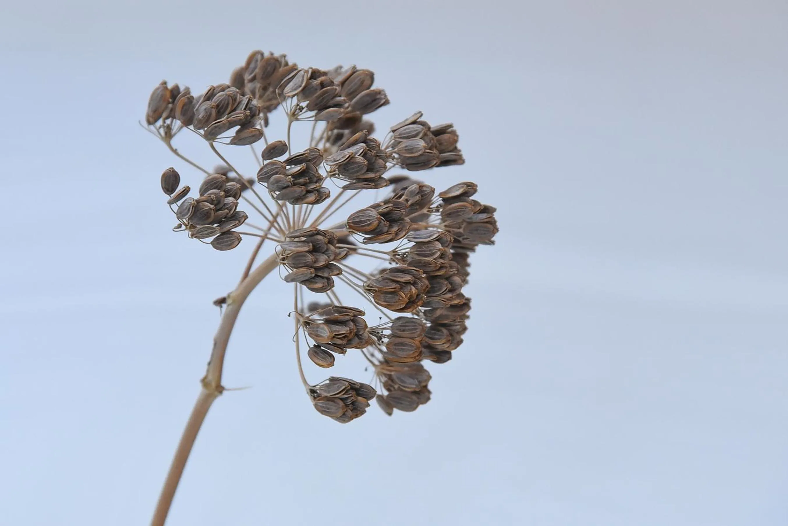 Decorative detail in Pylon Rooms