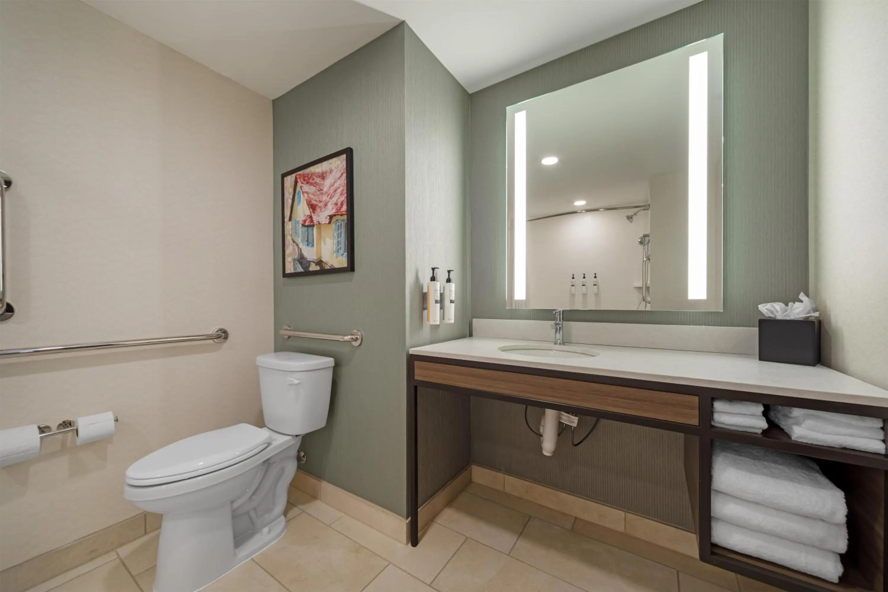 Bathroom in Hilton Garden Inn Media