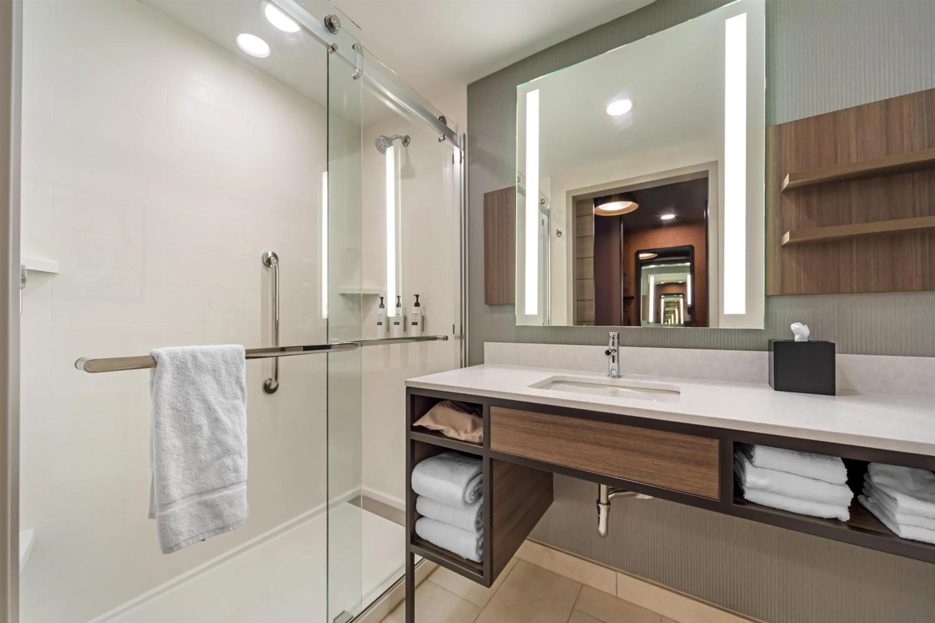 Bathroom in Hilton Garden Inn Media