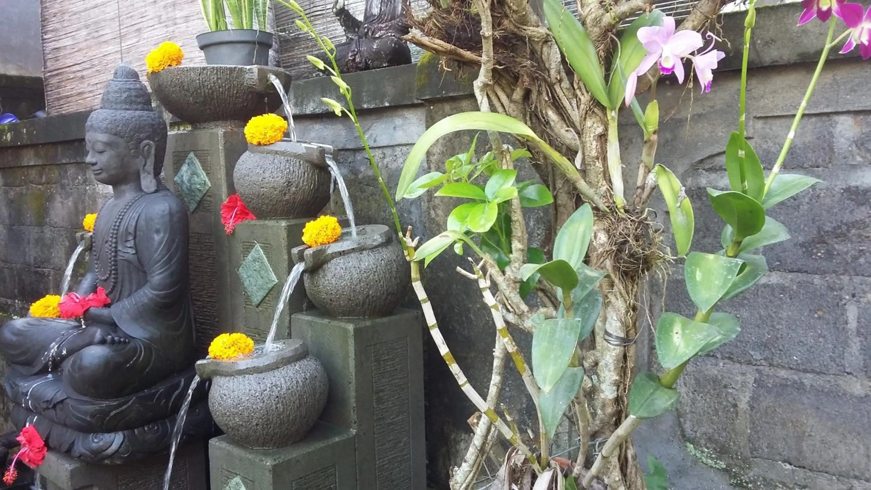 Garden in Kartika Bungalows