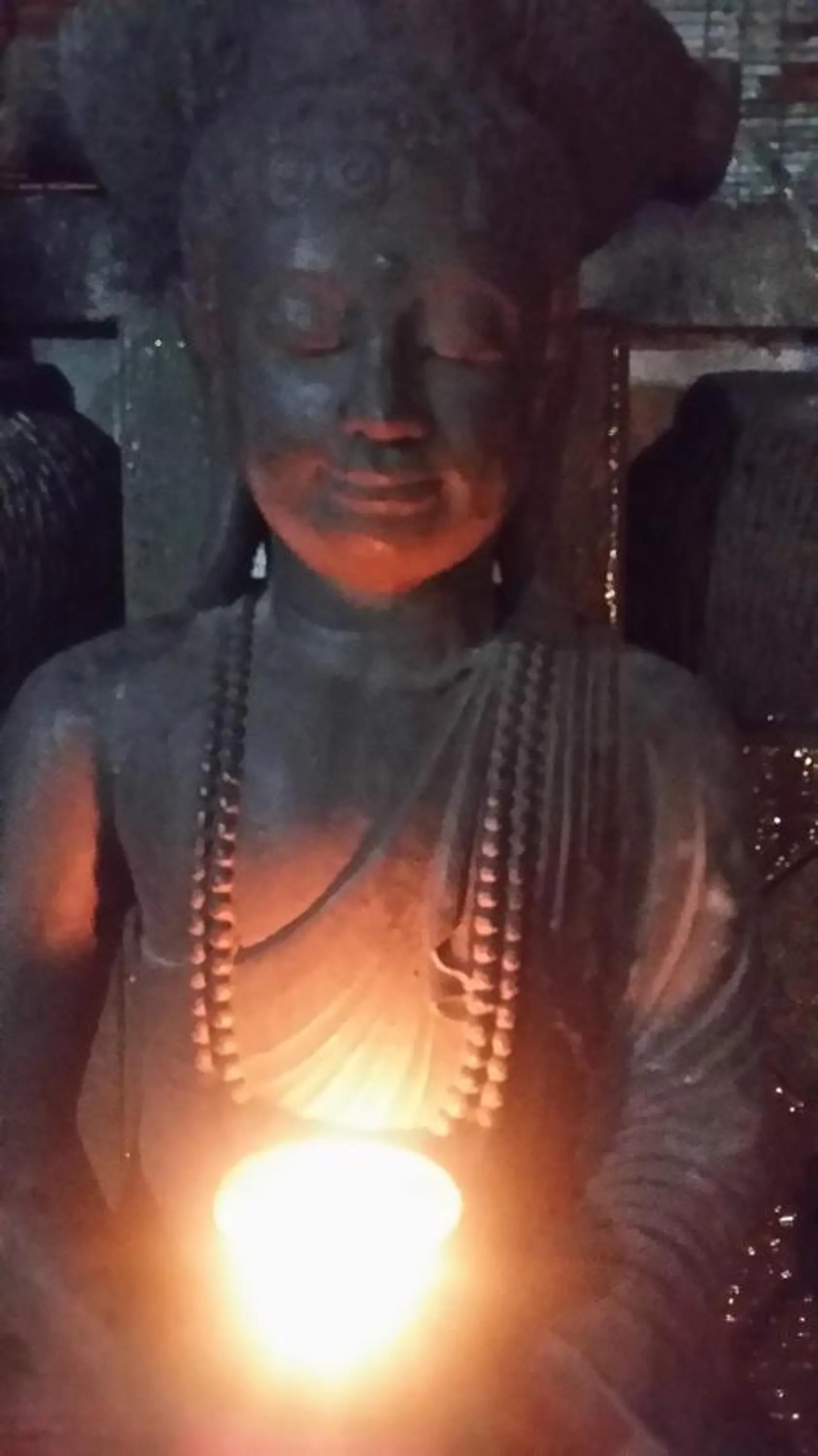 Garden in Kartika Bungalows