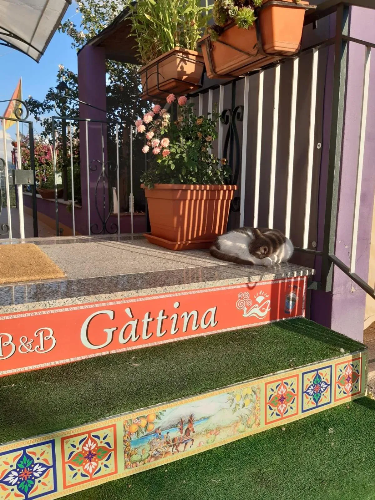 Property building in B&B Gàttina
