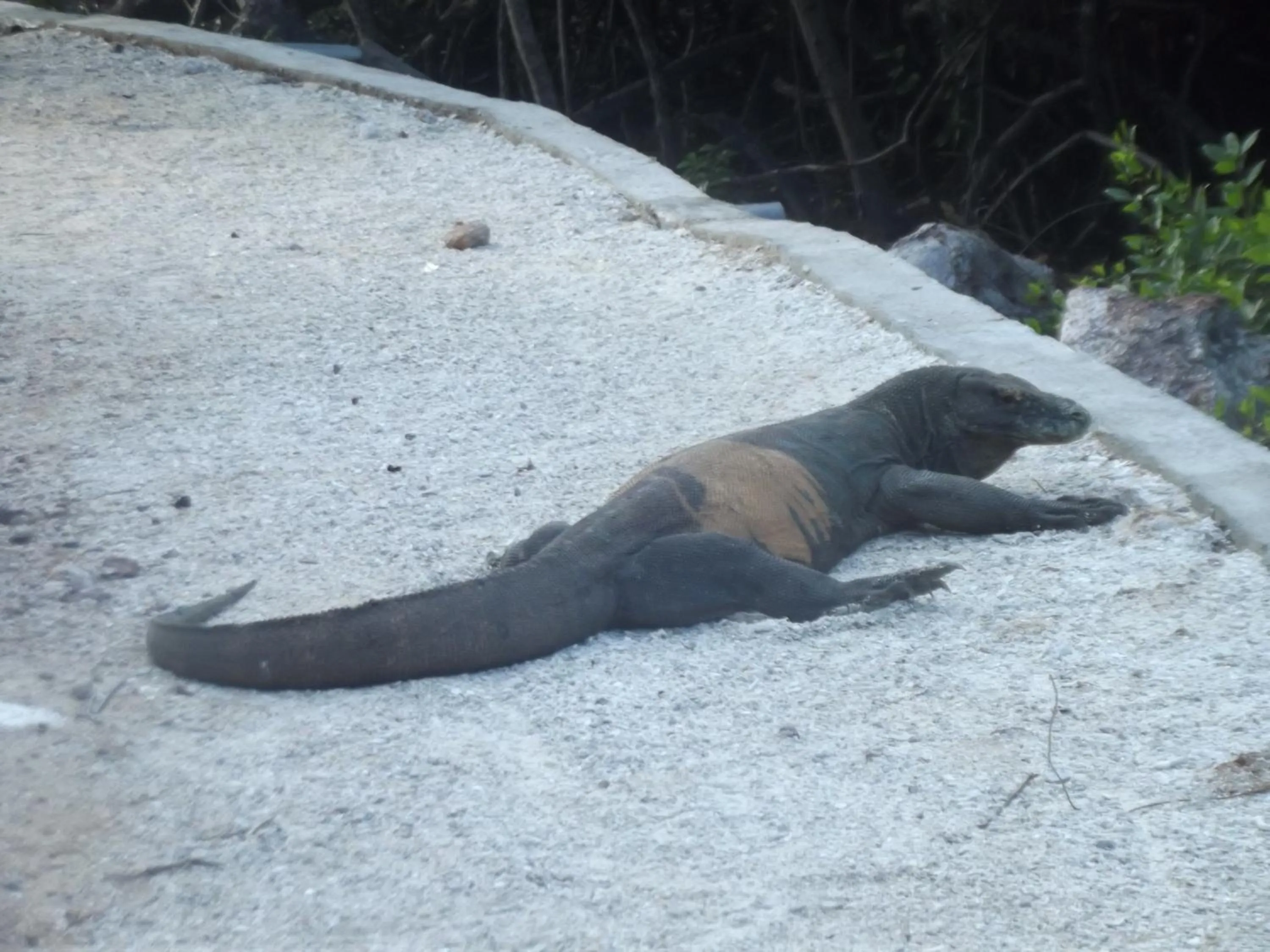 Activities in Komodo Boutique Hotel