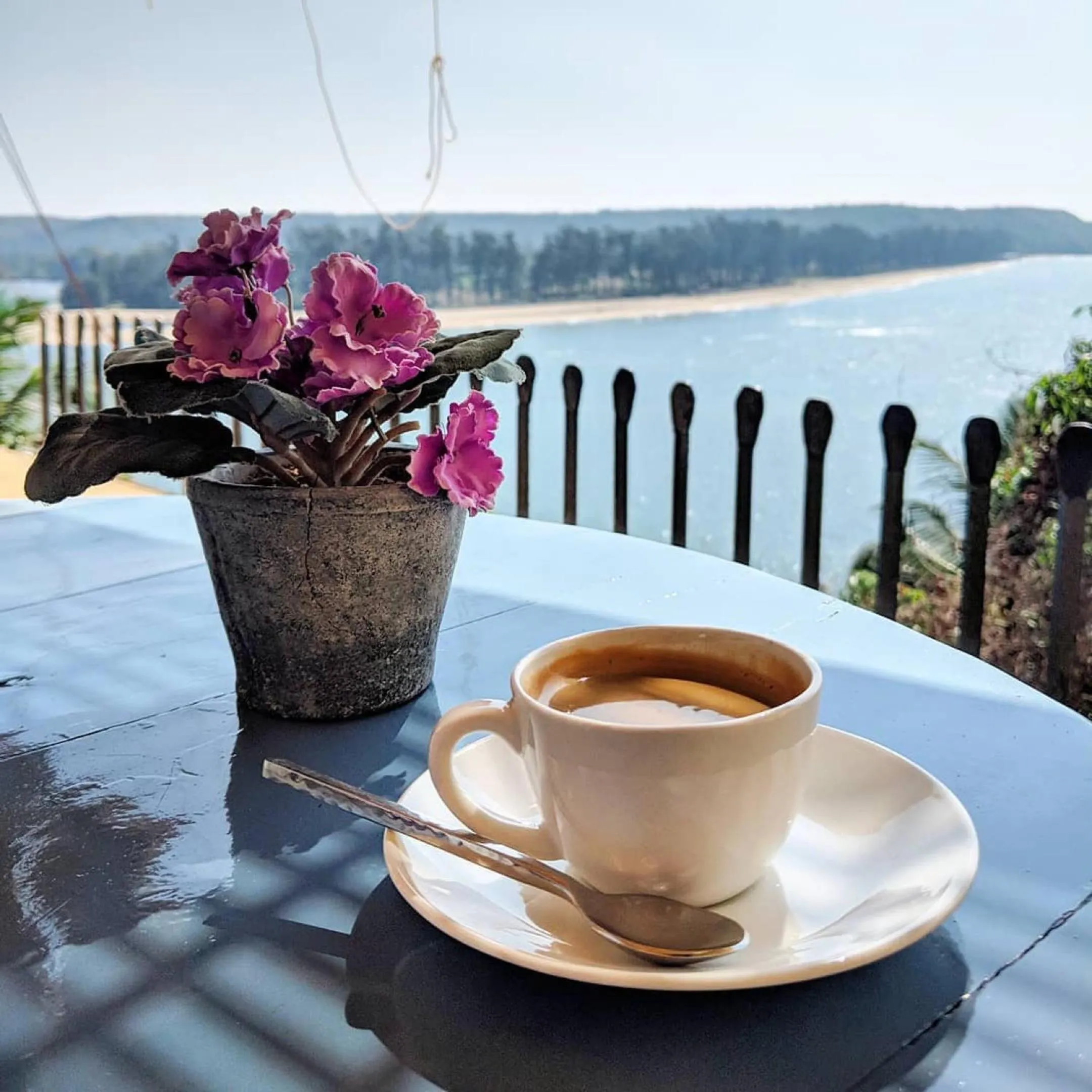 Drinks in Fort Tiracol Goa