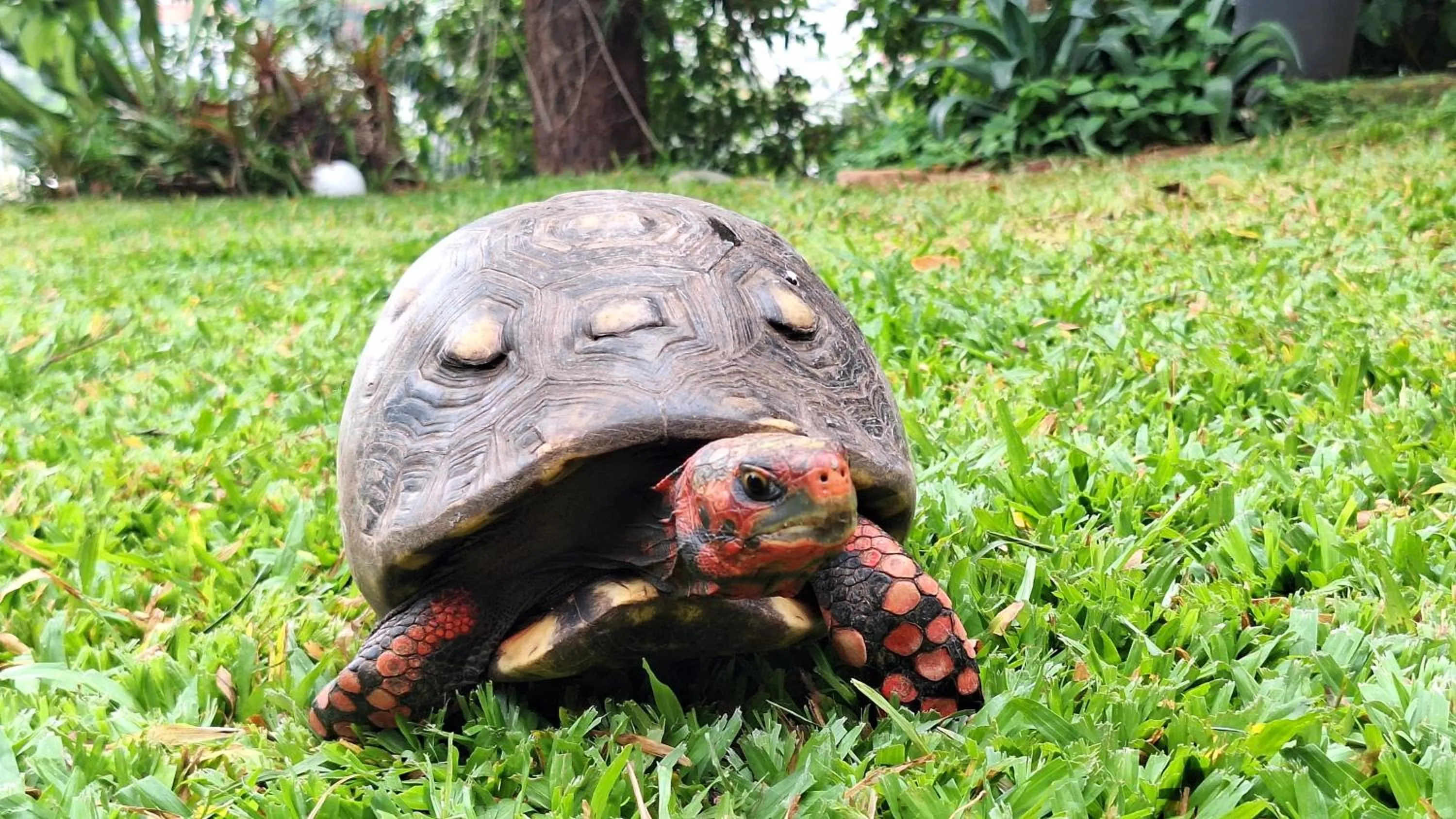 Natural landscape in Casa em meio a natureza - Ideal para casal