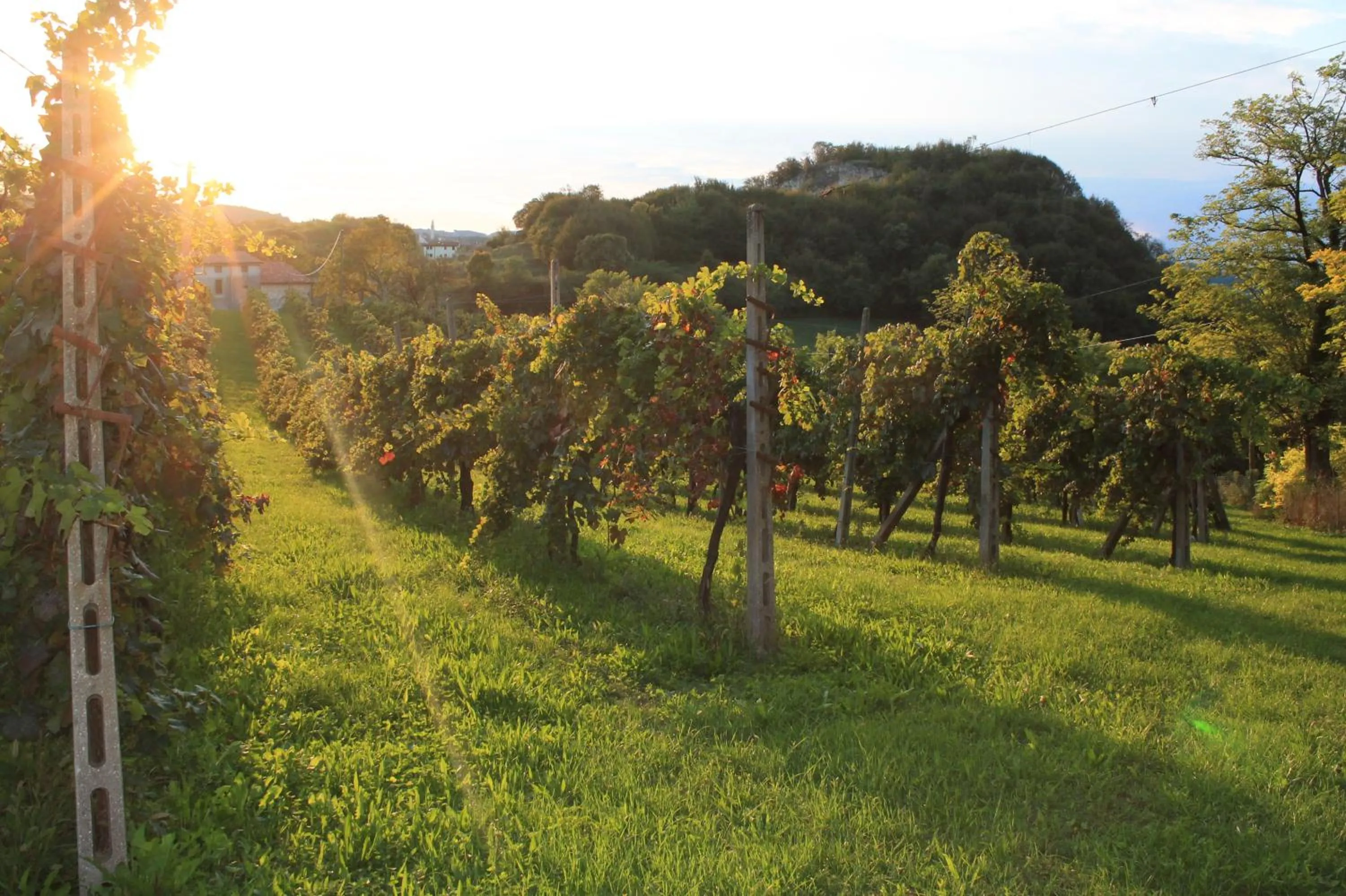 Natural landscape in Bed and Breakfast La Quiete