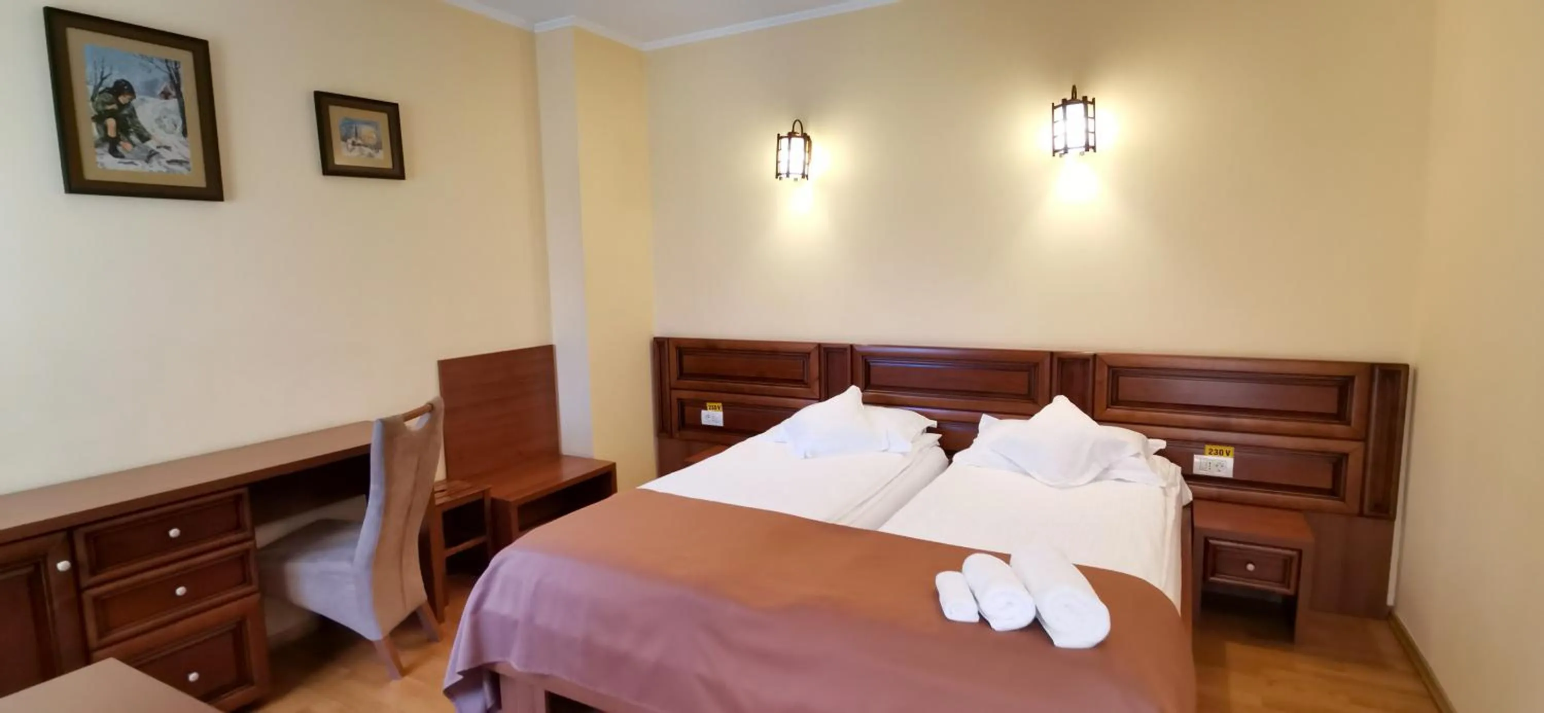 Deluxe Double or Twin Room with Balcony - single occupancy in Pensiunea Nimbus
