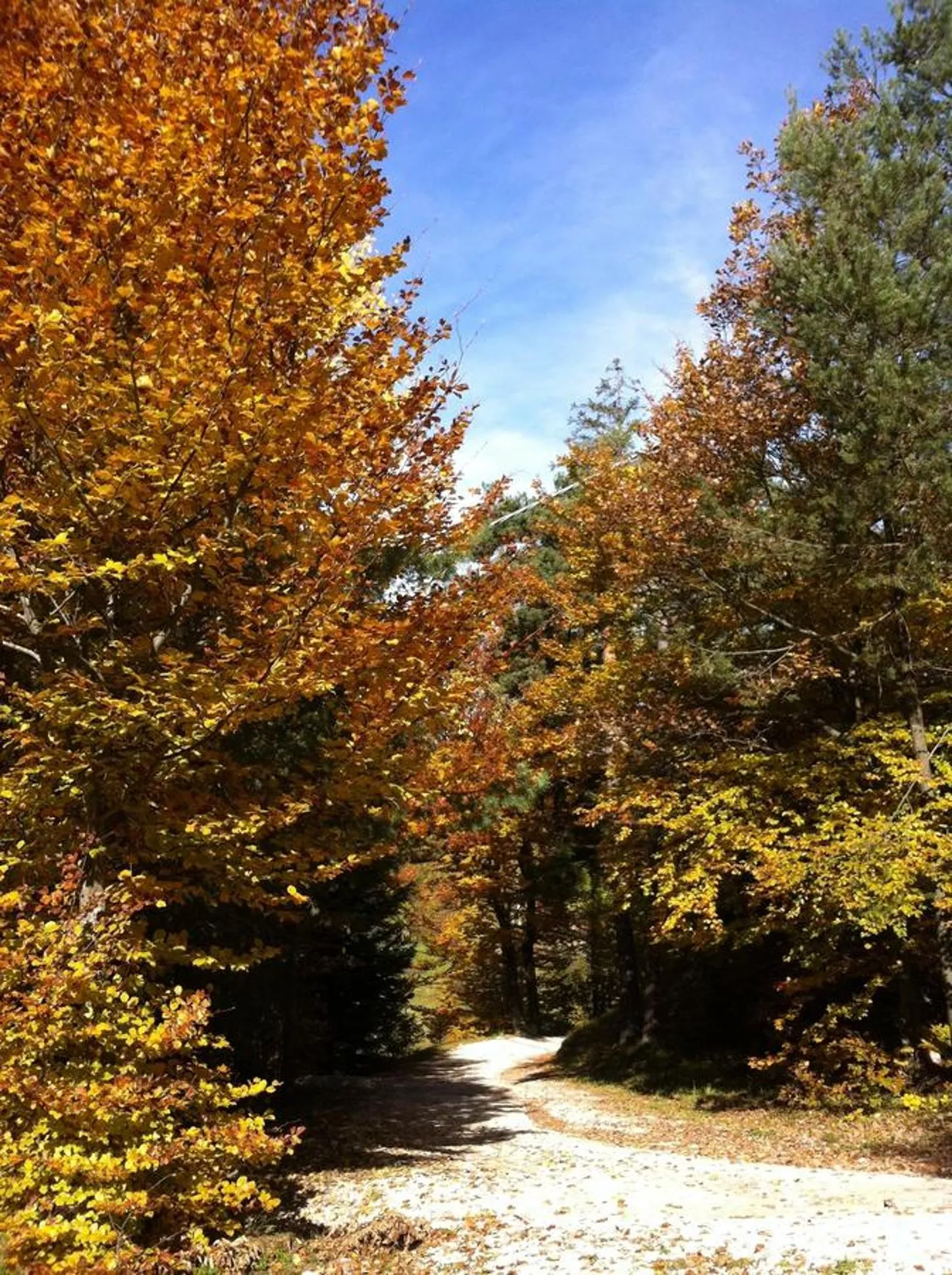 Cycling in Nenez B&B