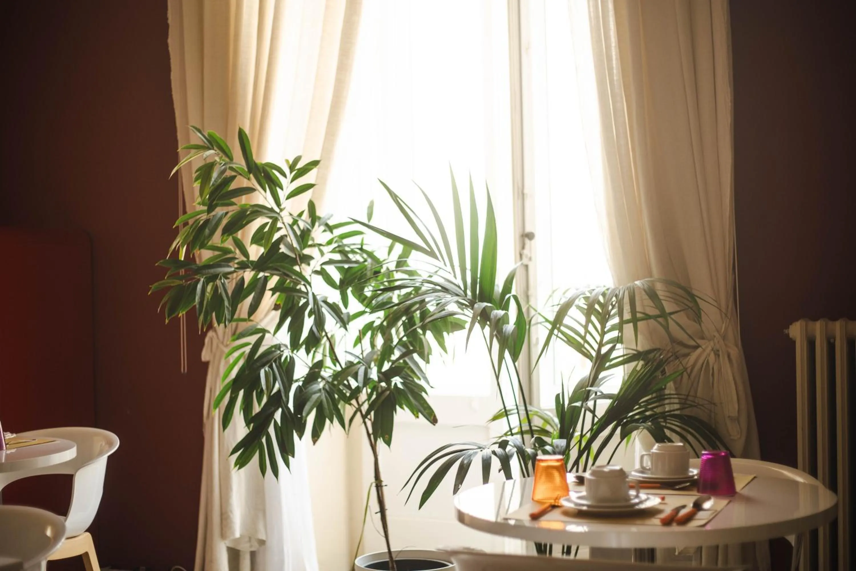 Food and drinks in 4 Balconi rooms-Boutique B&B