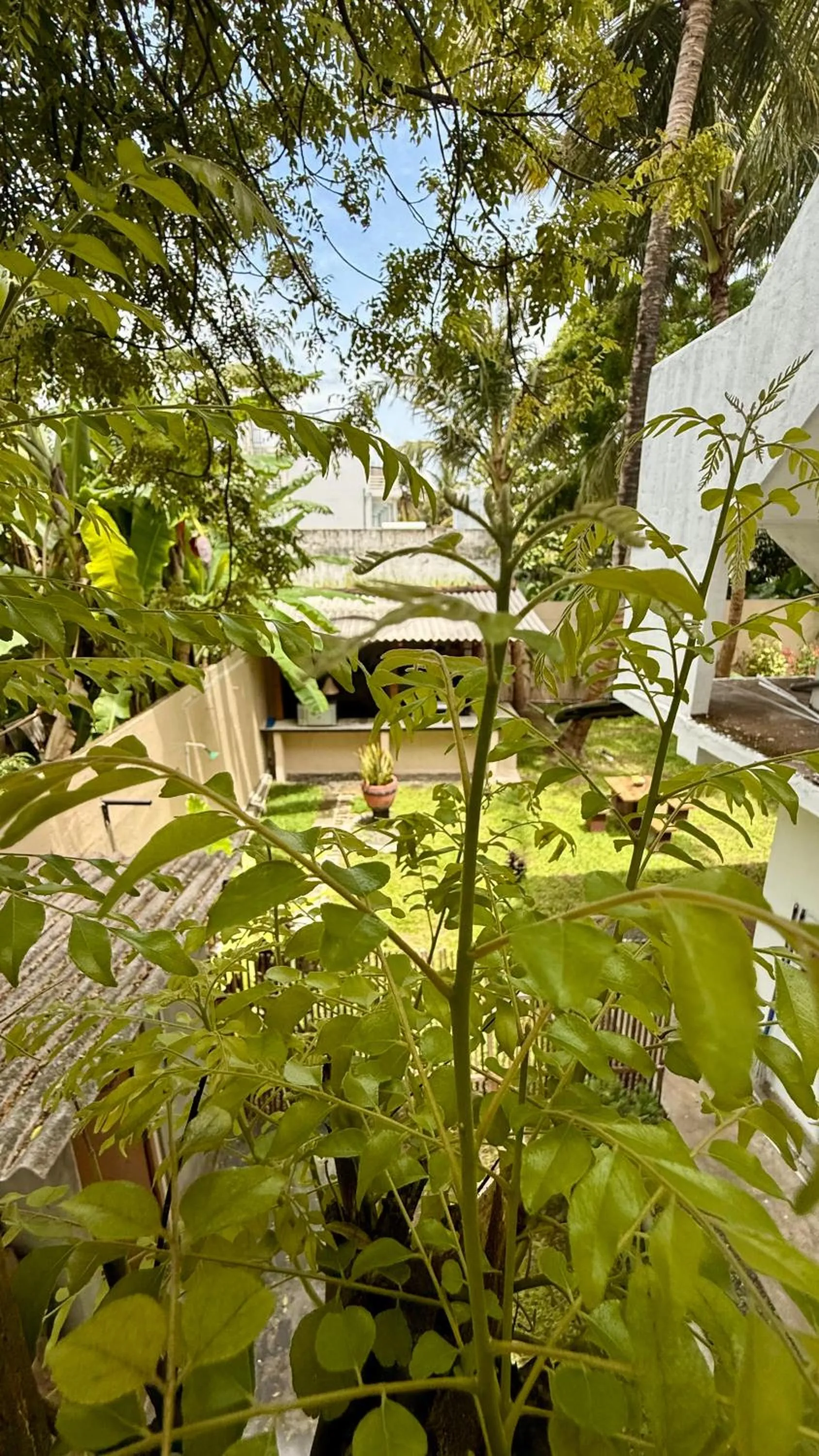 Natural landscape in Eolie Weligama