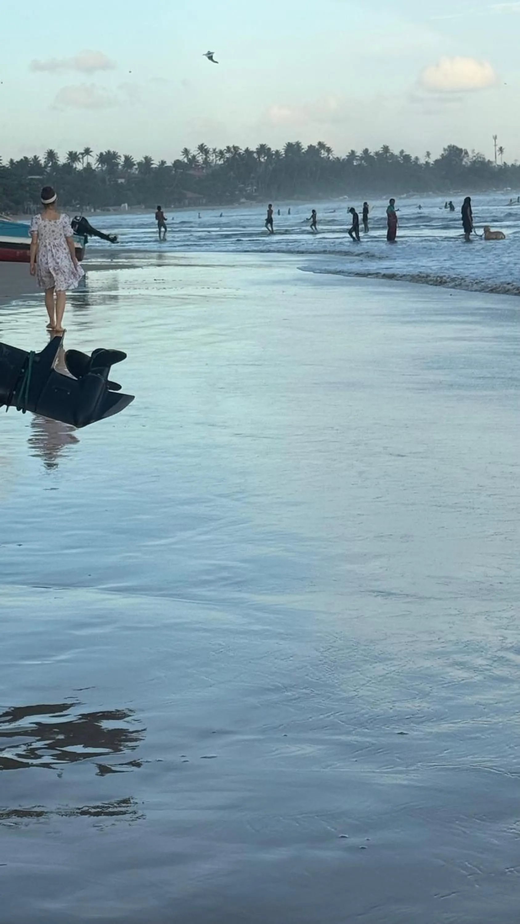 Beach in Eolie Weligama