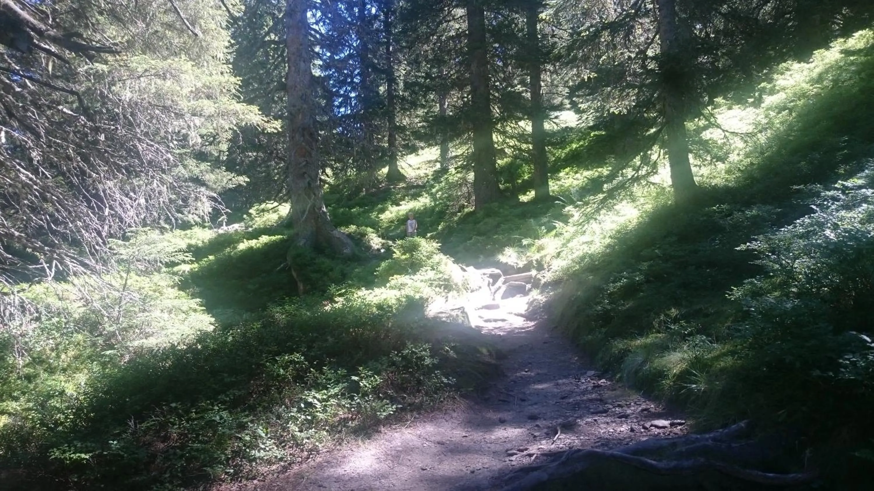 Natural landscape in Palfner