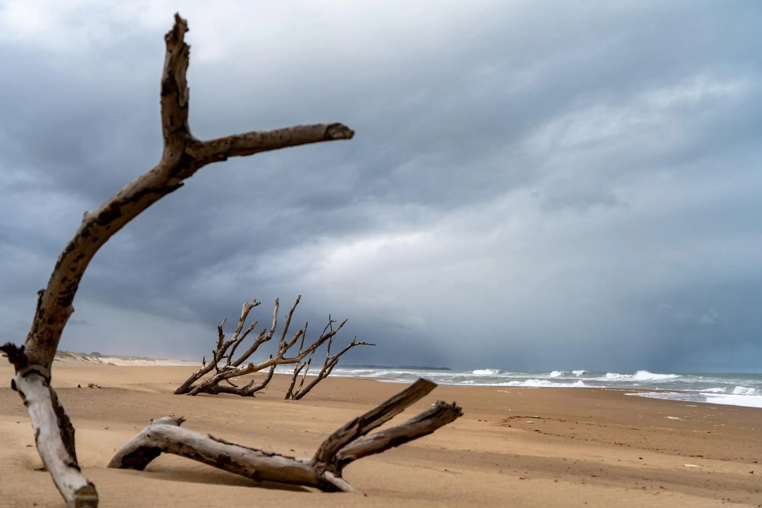 Beach in Mtunzini Forest Lodge Self Catering Resort