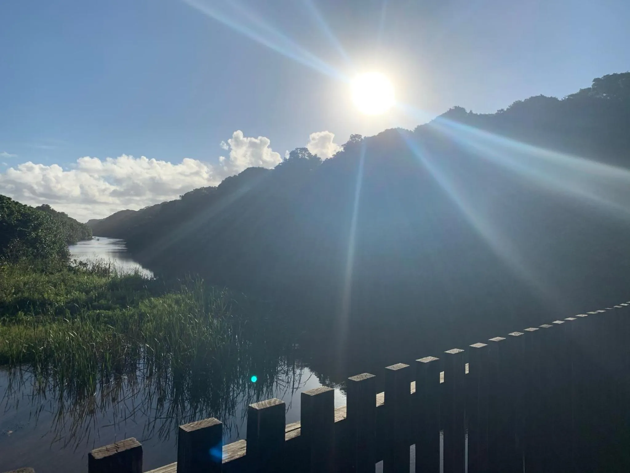 Natural landscape in Mtunzini Forest Lodge Self Catering Resort