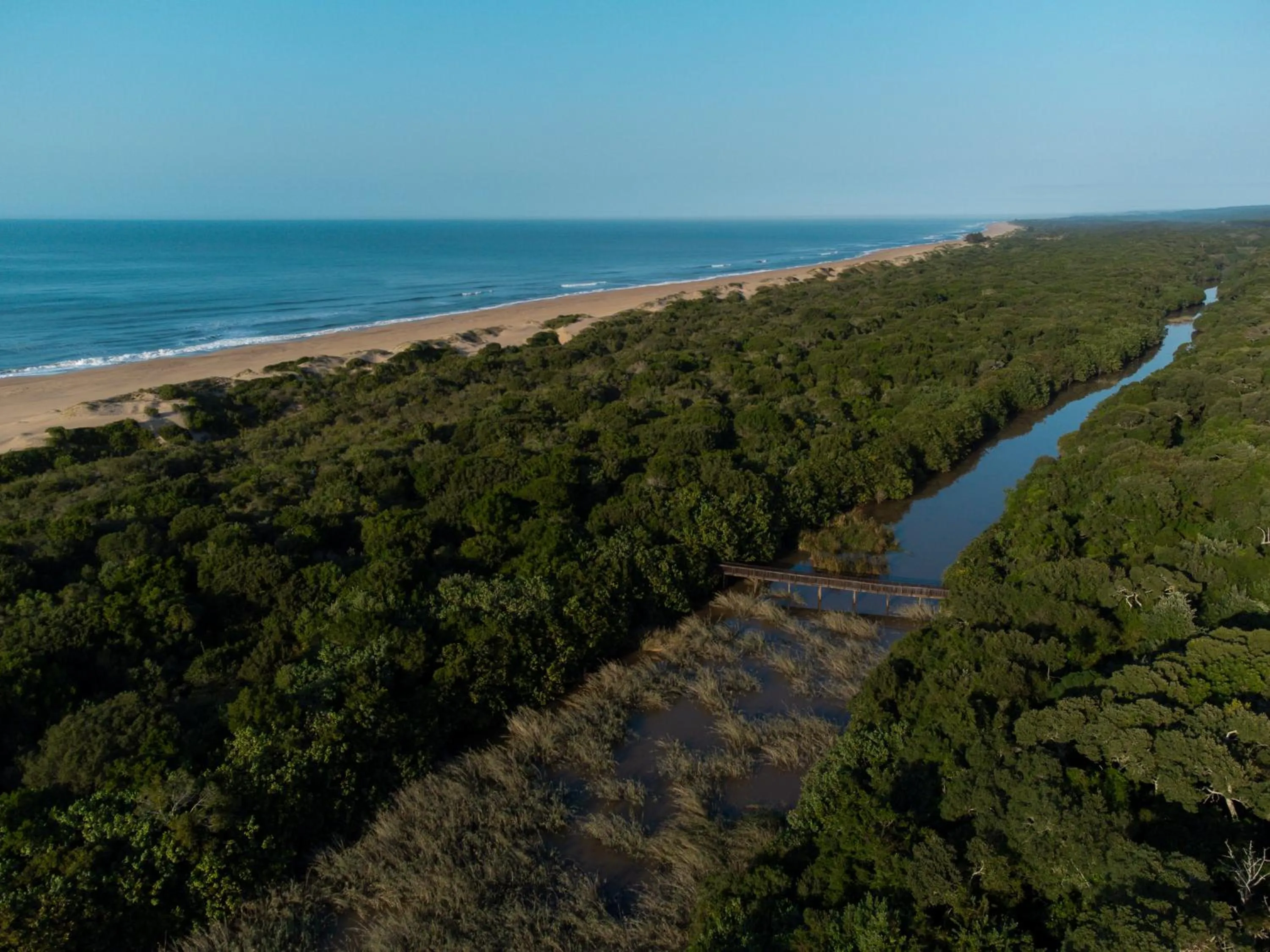 Bird's eye view in Mtunzini Forest Lodge Self Catering Resort