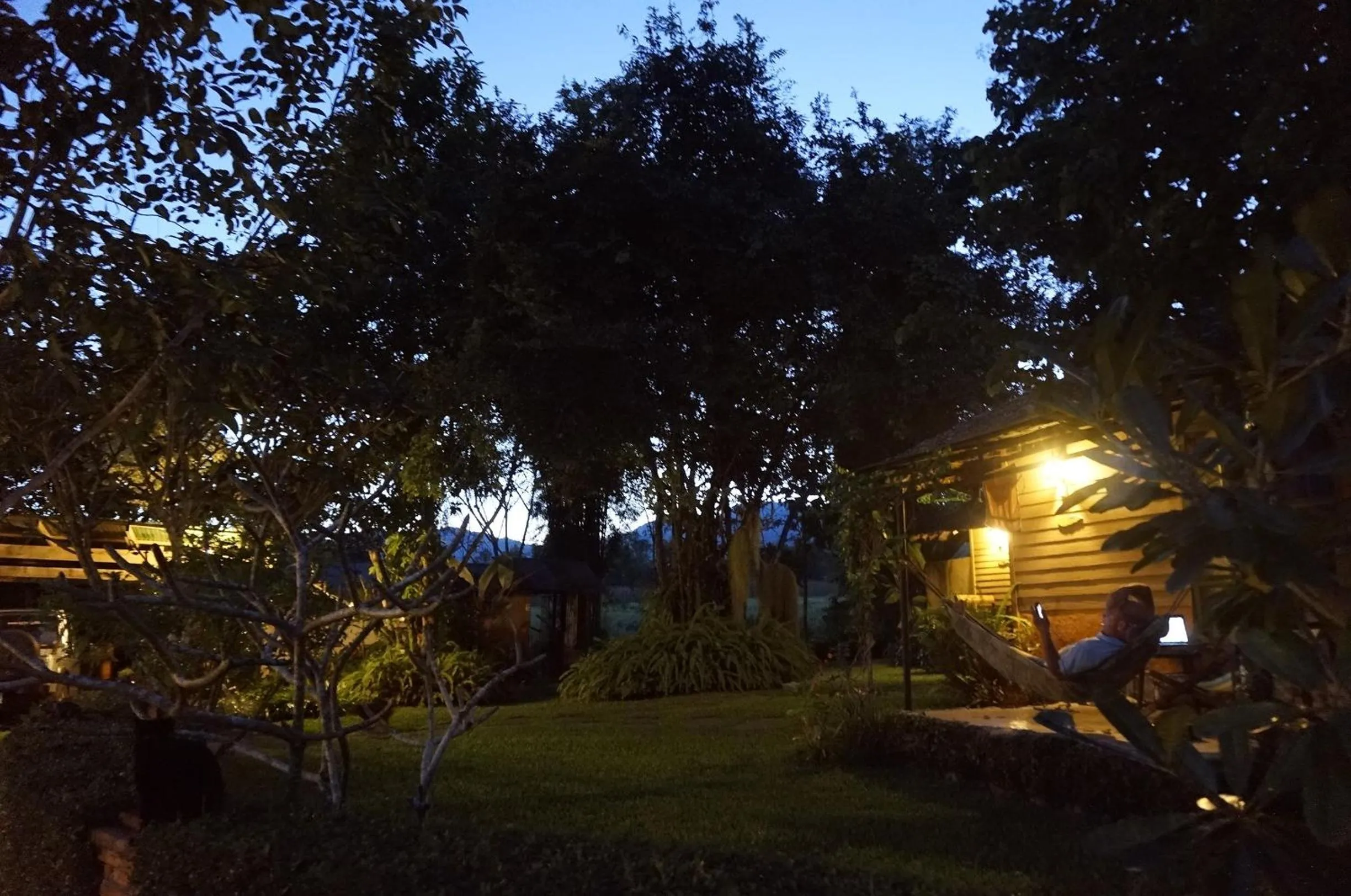 Garden in Bannamhoo Bungalows