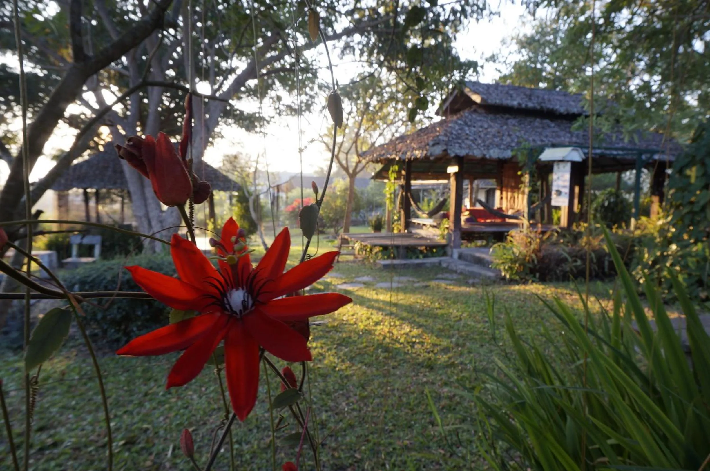 Property building in Bannamhoo Bungalows