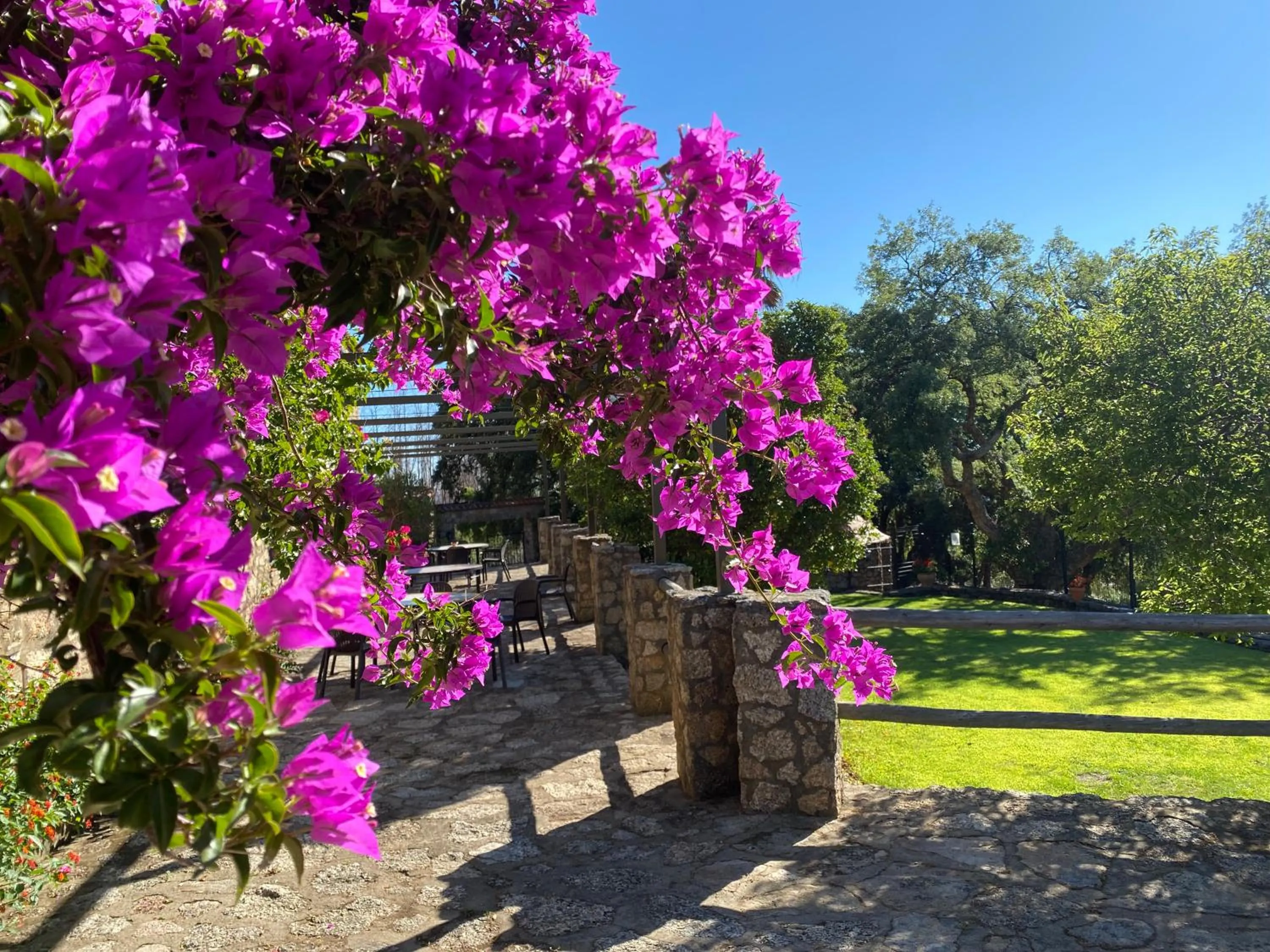 Spring in Virgen de la Cabeza