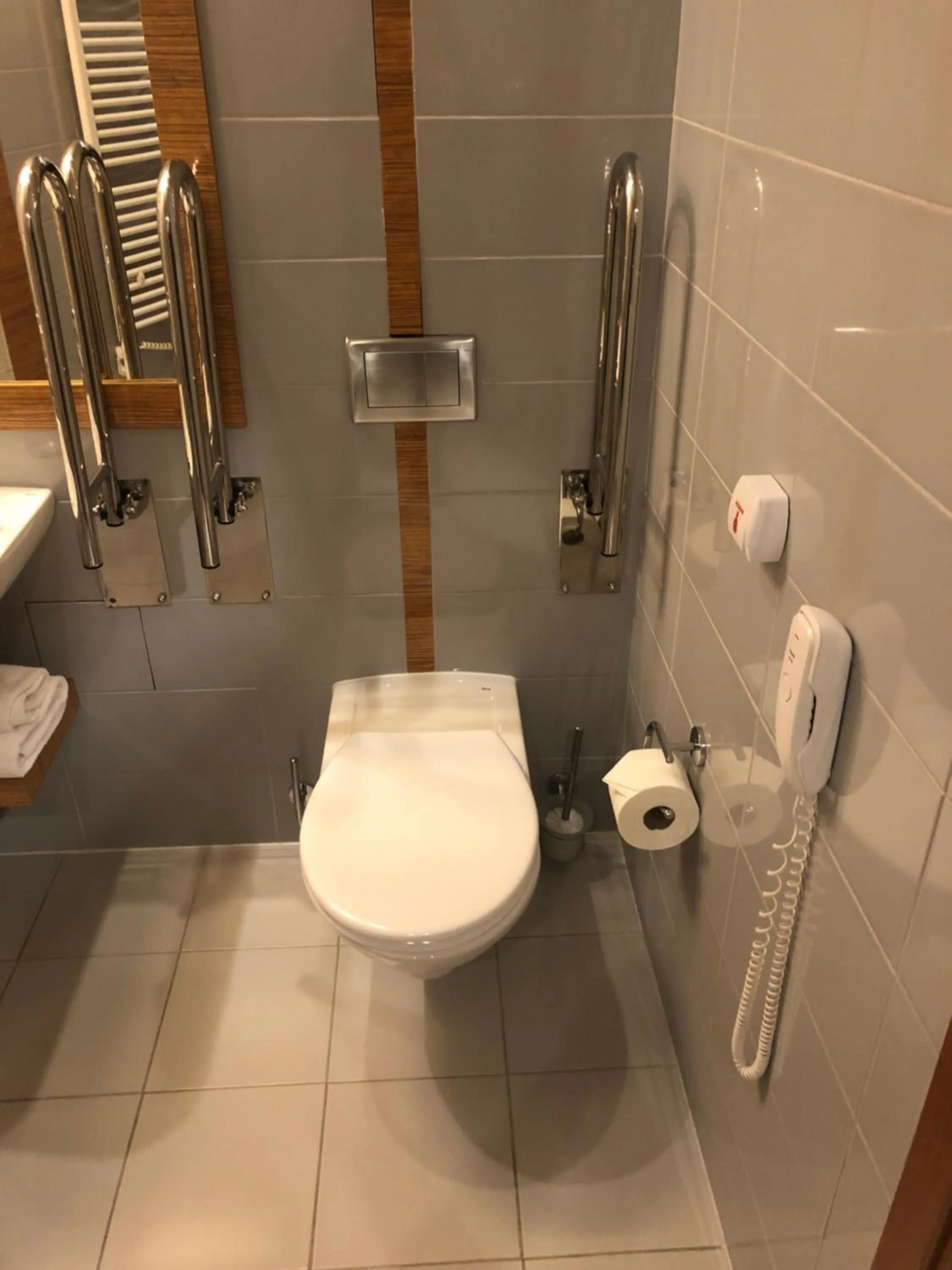 Toilet in Hotel Wieniawski