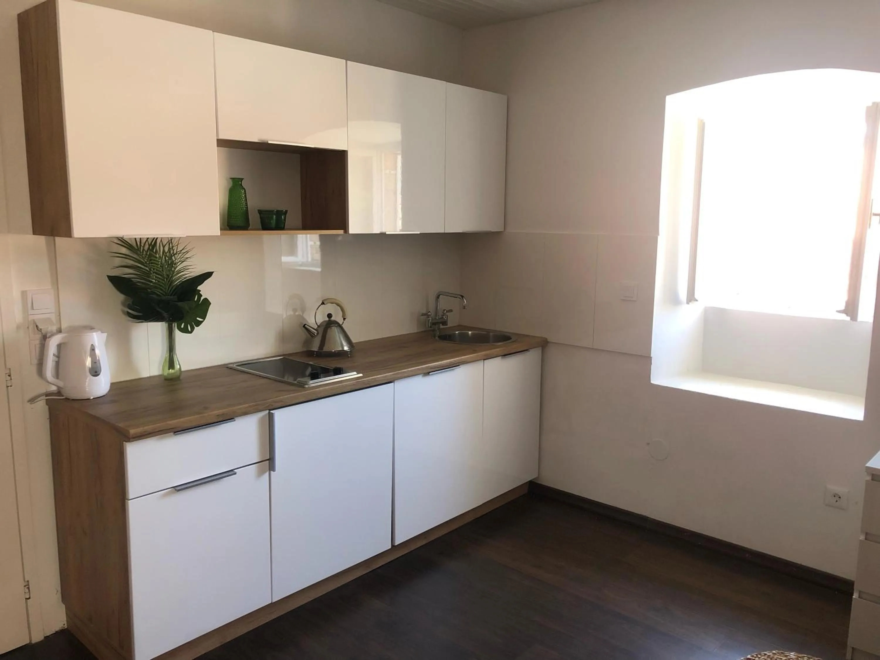 Kitchen or kitchenette in Apartment Dubravka Iza Roka