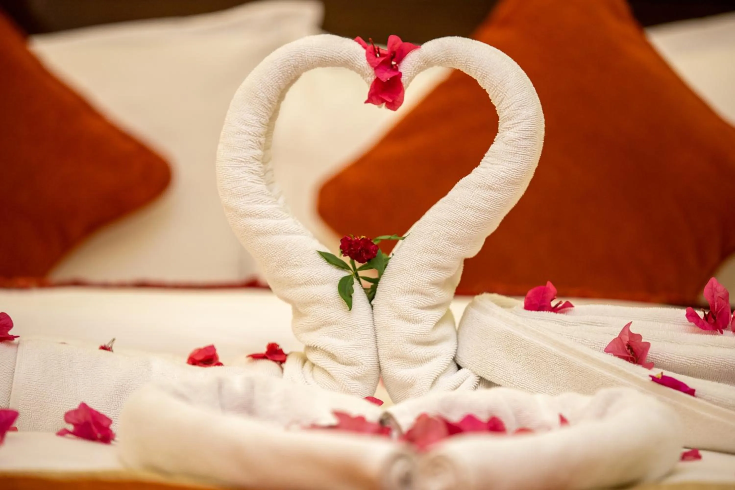 Bed in Dreamland Gold Resort & Hotel