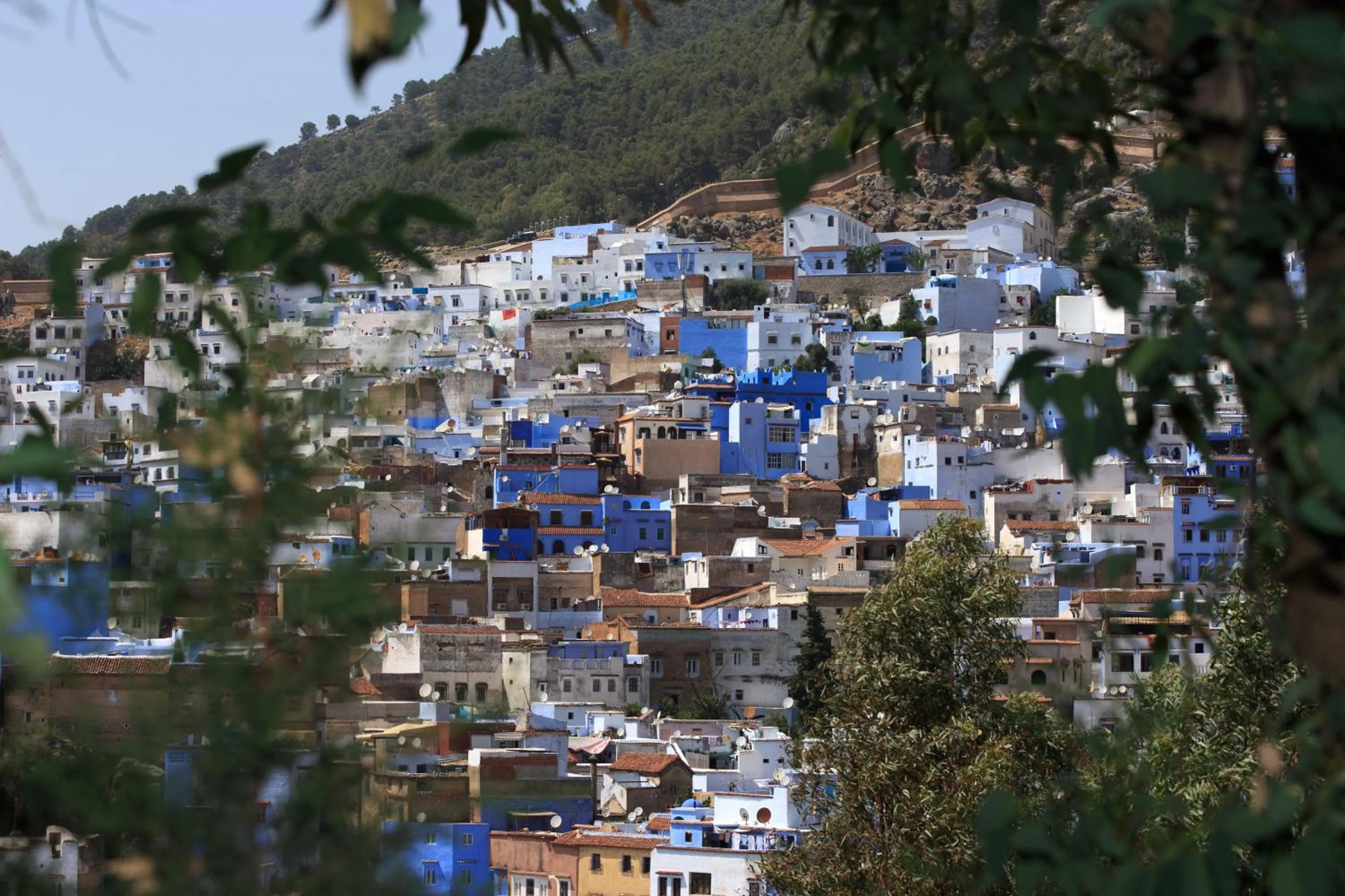 Day in Riad Zaitouna Chaouen