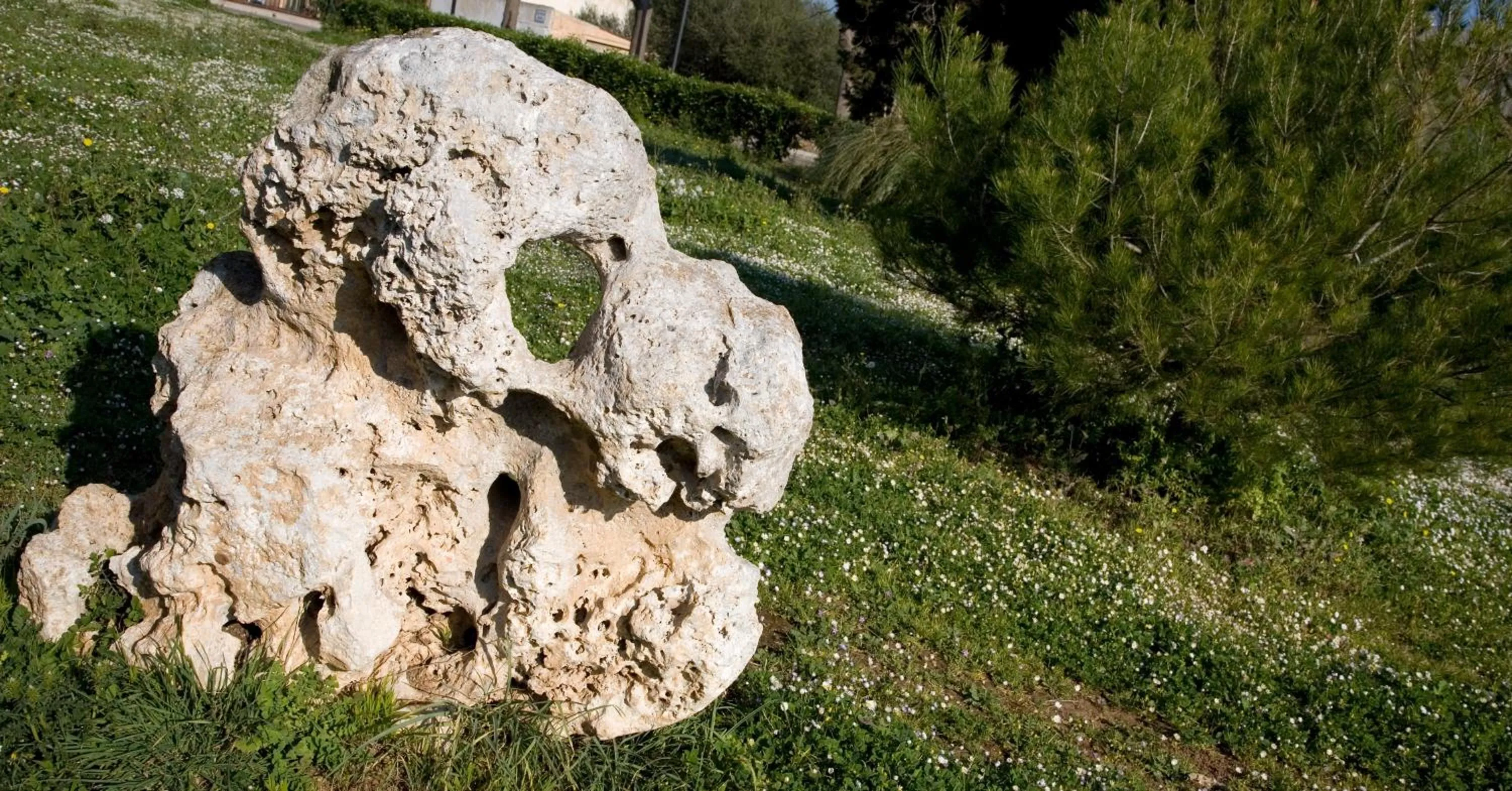 Natural landscape in Hotel Mariant