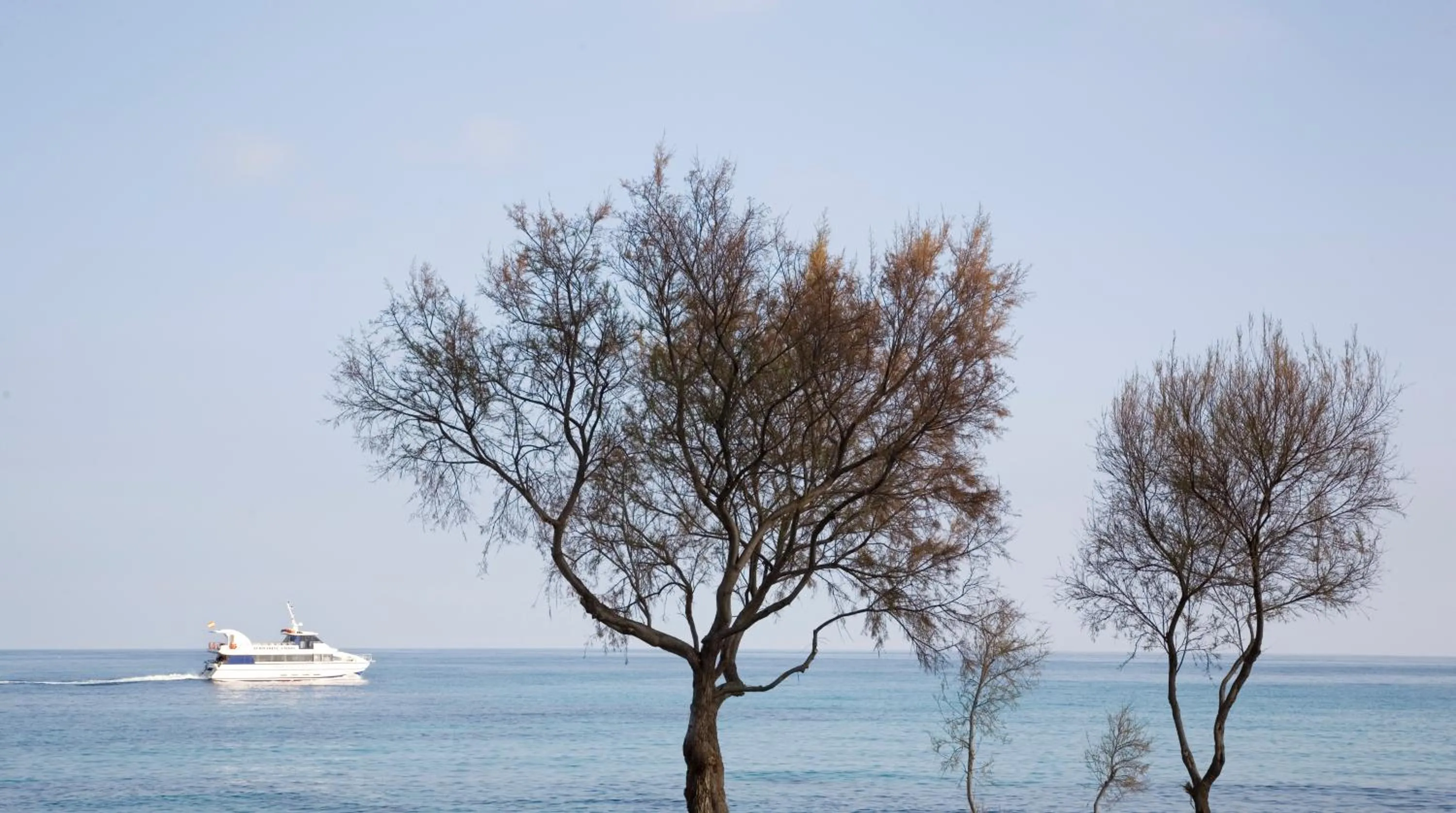 Sea view in Hotel Mariant
