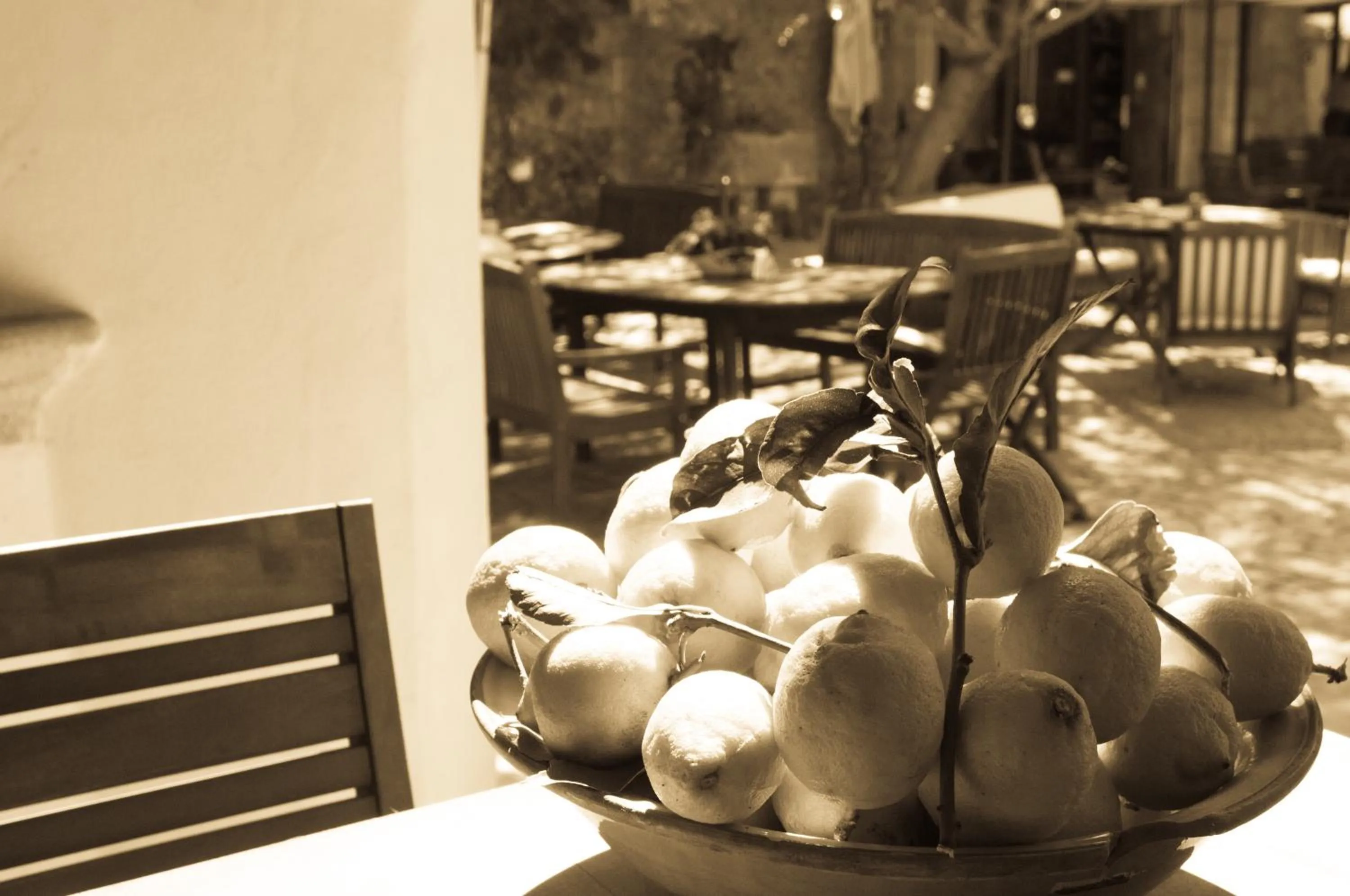 Balcony/Terrace in Hotel Segles - Turismo de Interior