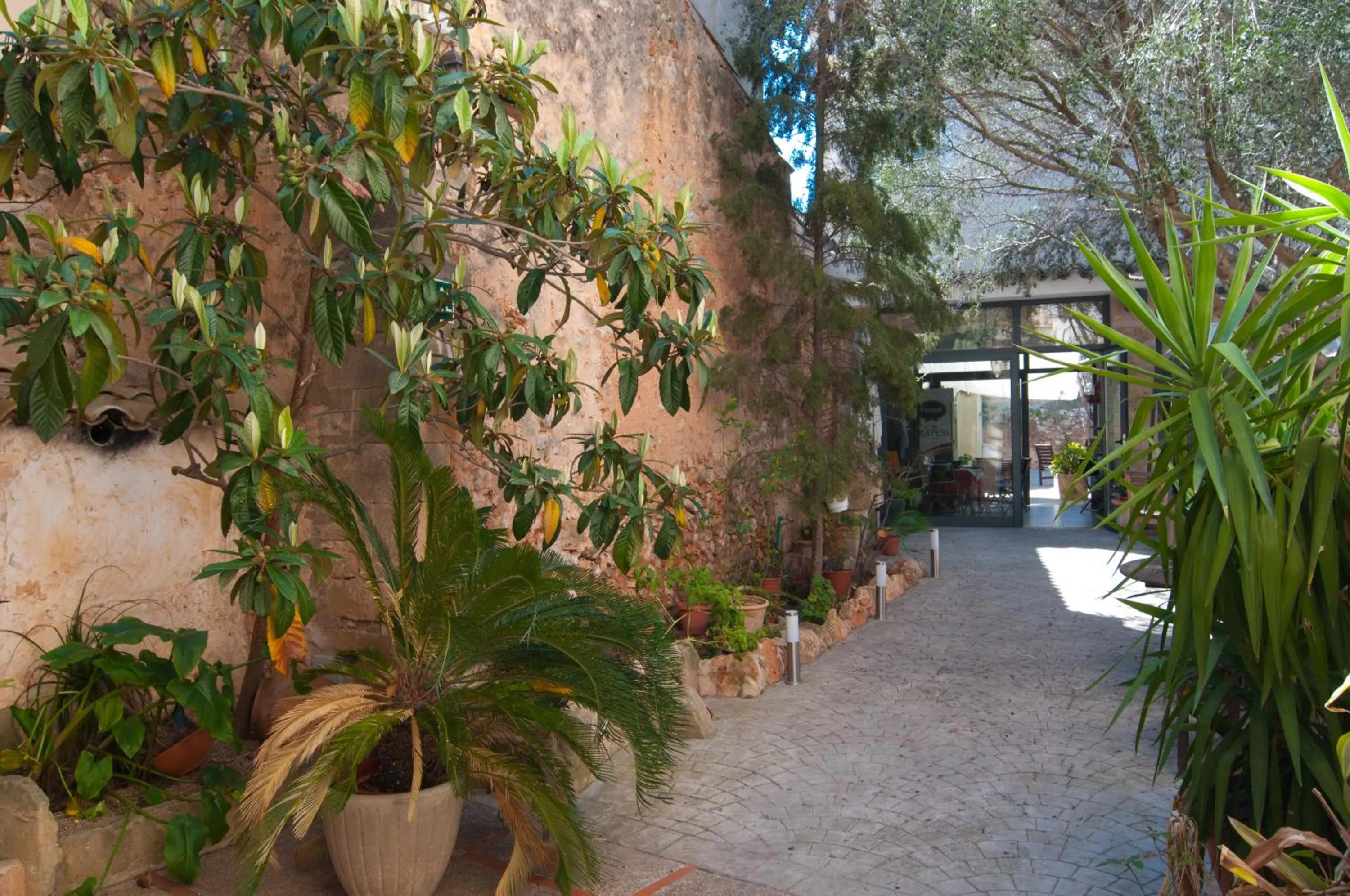 Garden in Hotel Segles - Turismo de Interior