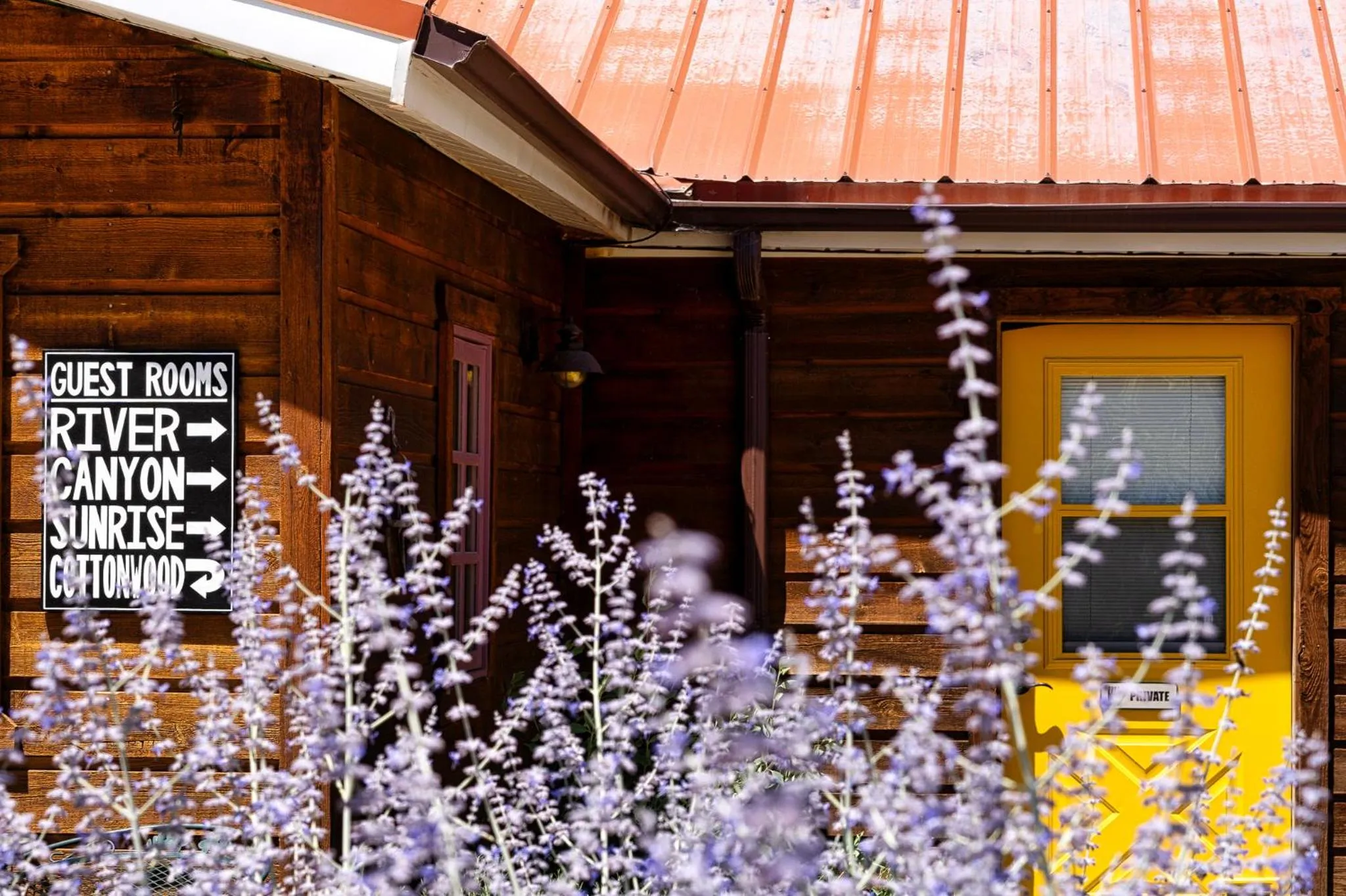 Guests in The Loubird Inn