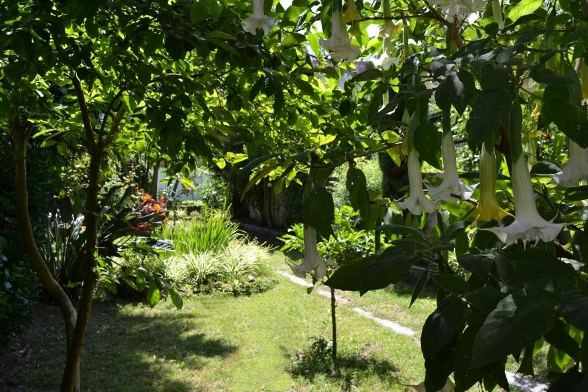 Garden in Hotel Amandi