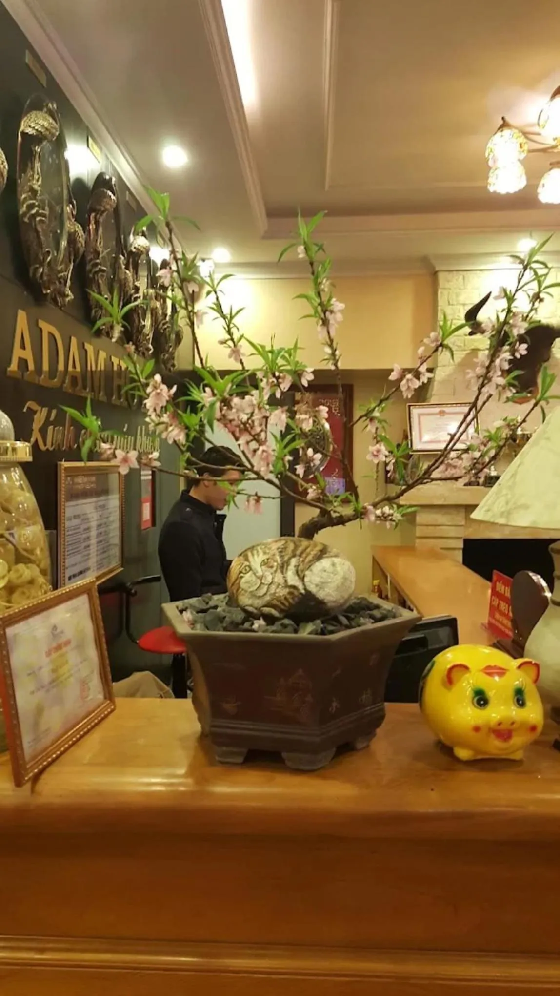 Lobby or reception in Adam Hotel Sa Pa